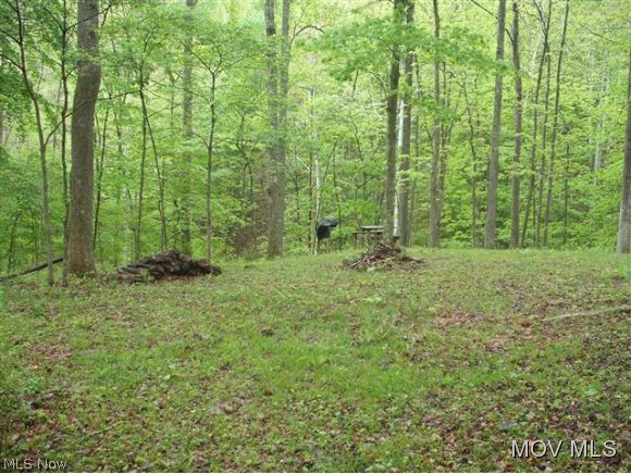 0 Rt 47 Smithville, WV 26178 - Photo 8 of 17