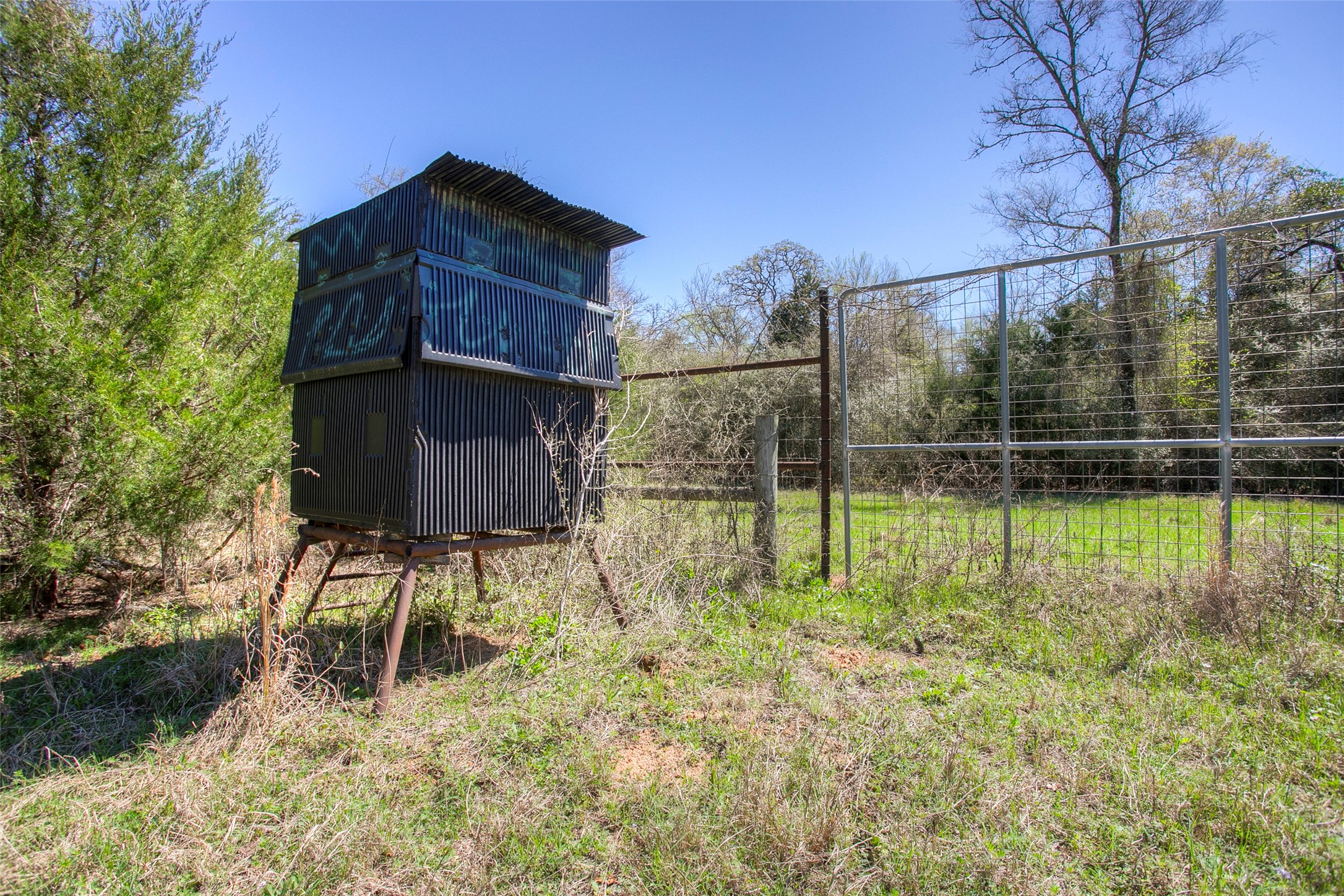 482 County Road 482 Normangee, TX 77871 - Photo 6 of 49