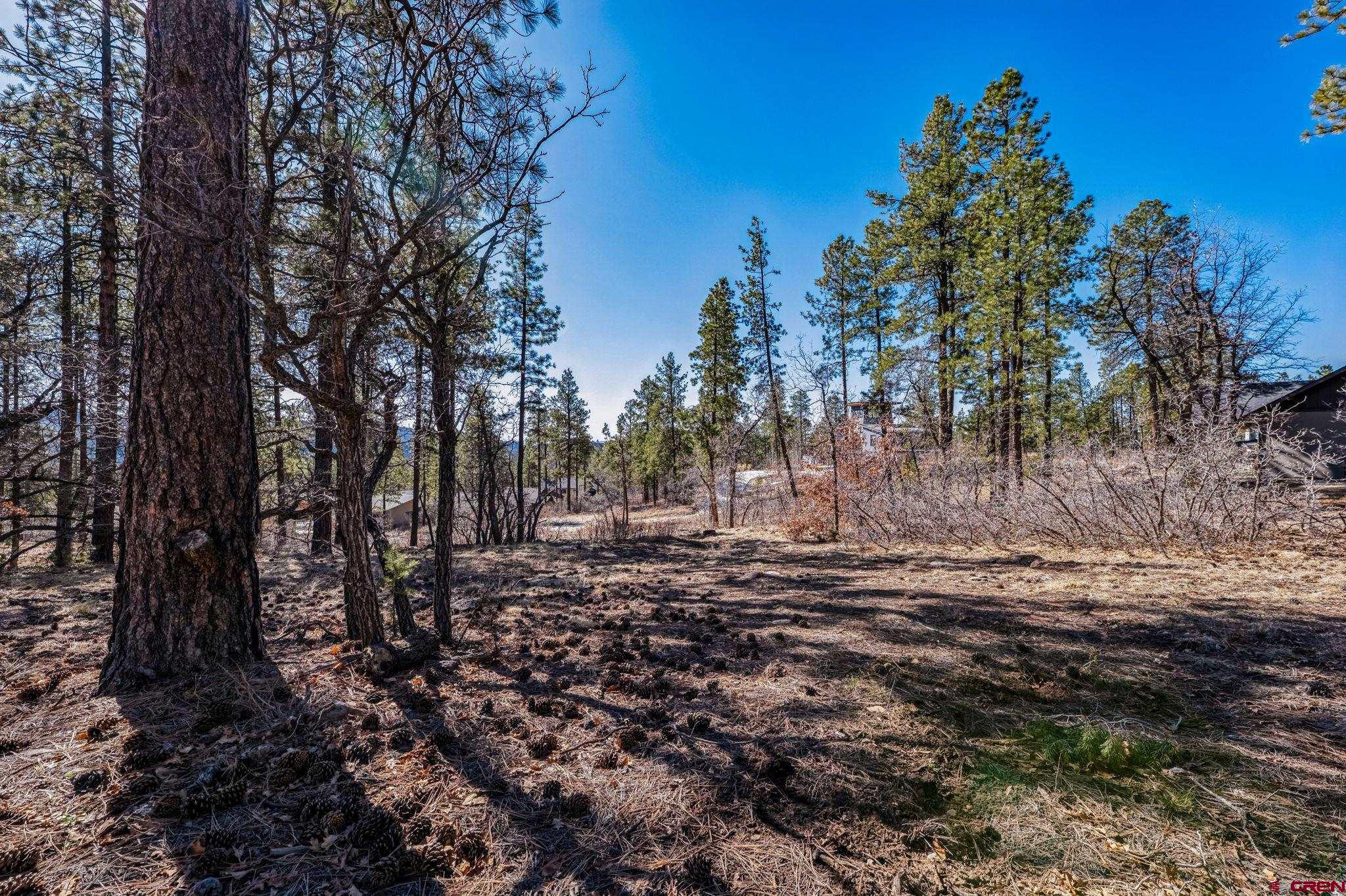 64 Incline Court Durango, CO 81301 - Photo 1 of 35 a view of a yard with trees