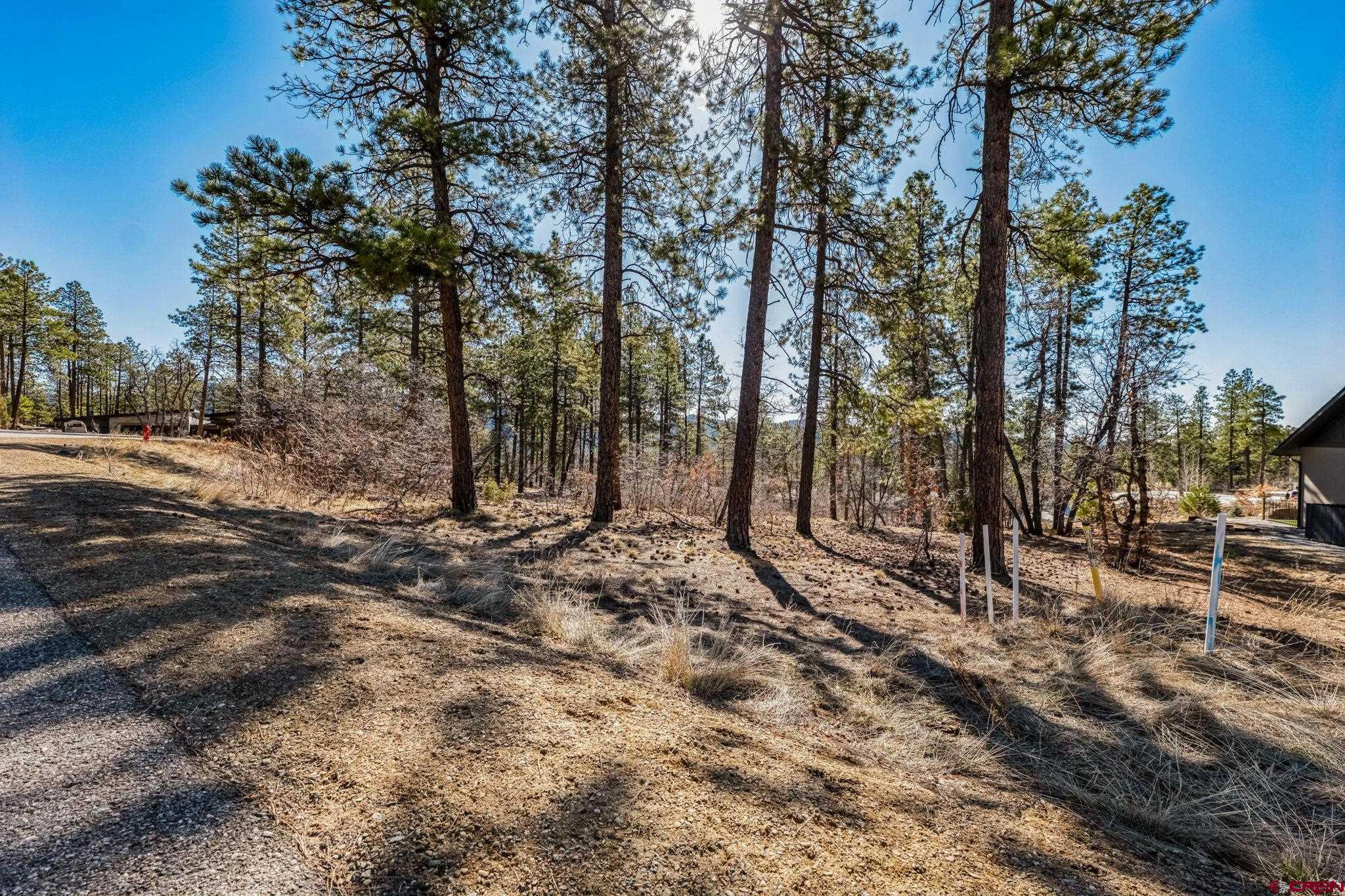64 Incline Court Durango, CO 81301 - Photo 11 of 35