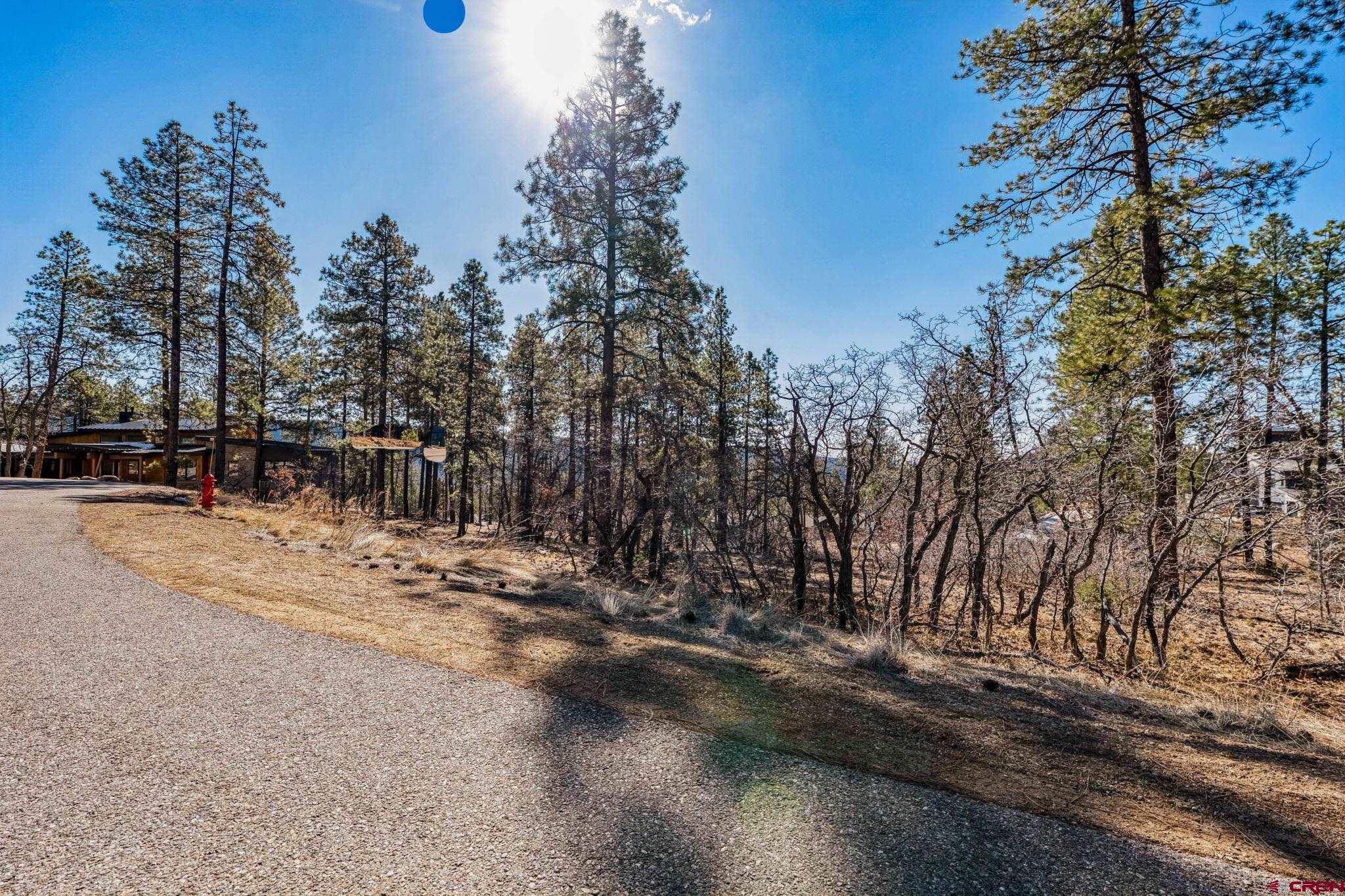 64 Incline Court Durango, CO 81301 - Photo 13 of 35 a view of road with trees