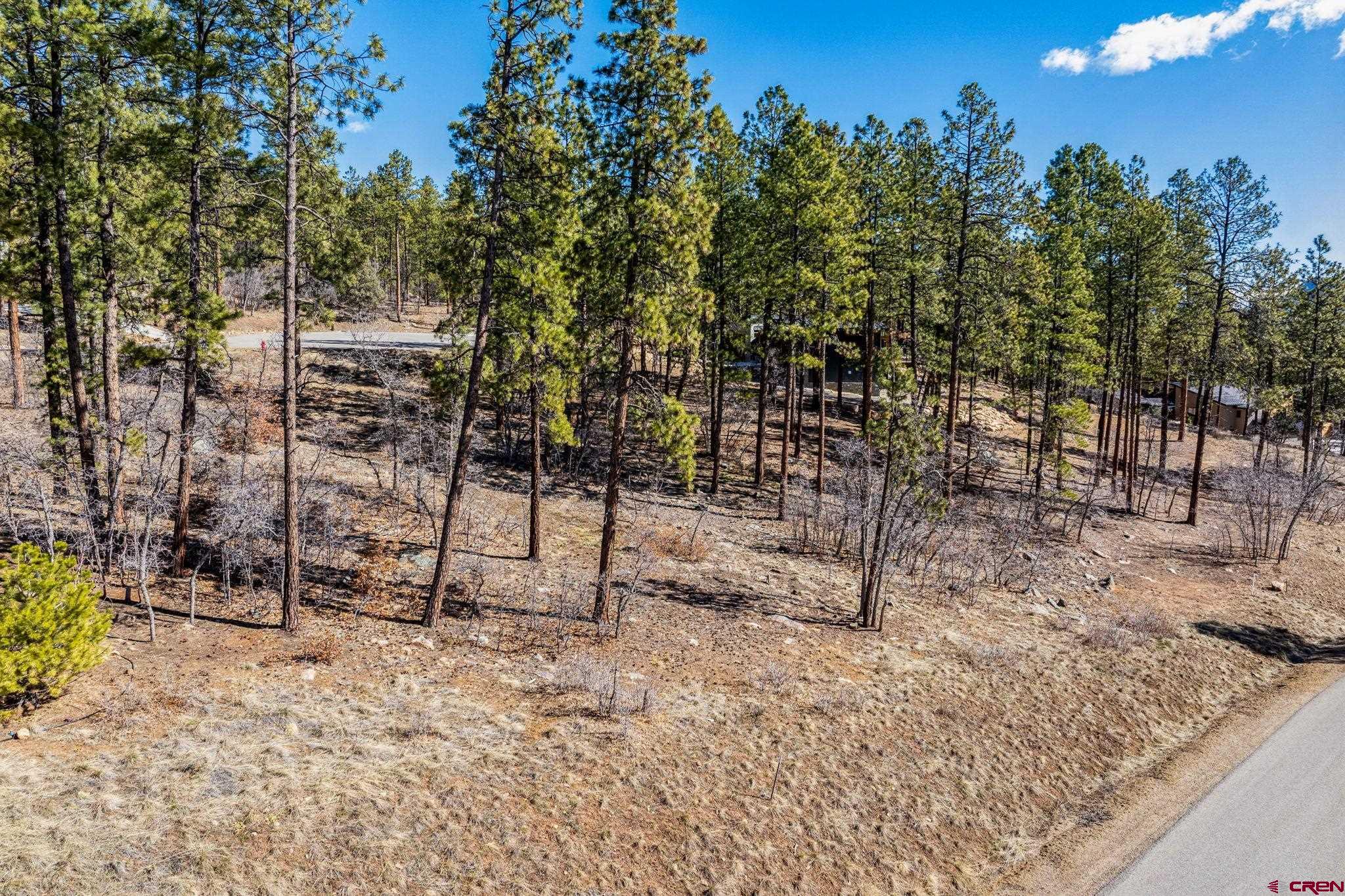 64 Incline Court Durango, CO 81301 - Photo 14 of 35