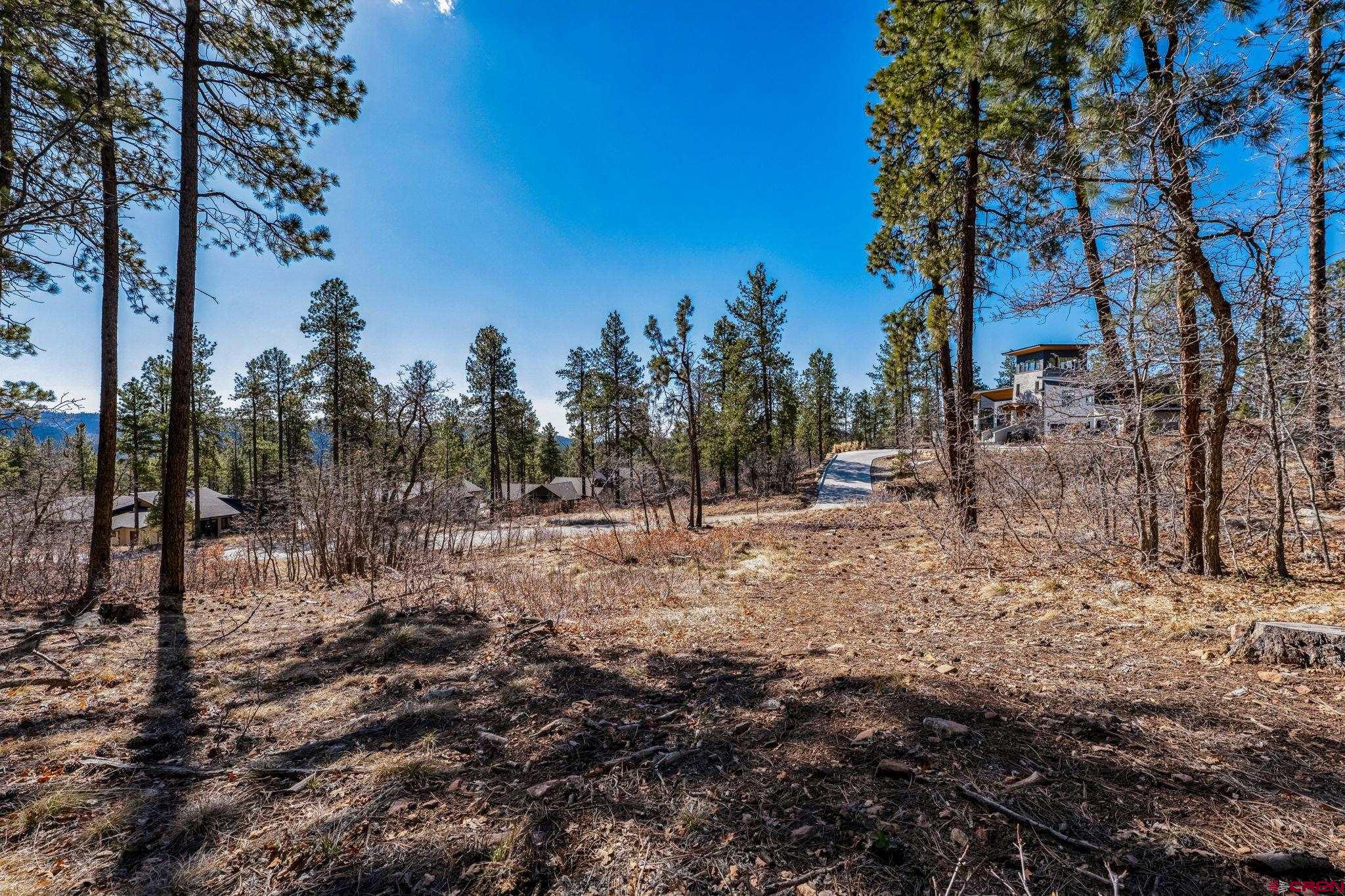 64 Incline Court Durango, CO 81301 - Photo 2 of 35 a view of outdoor space with trees