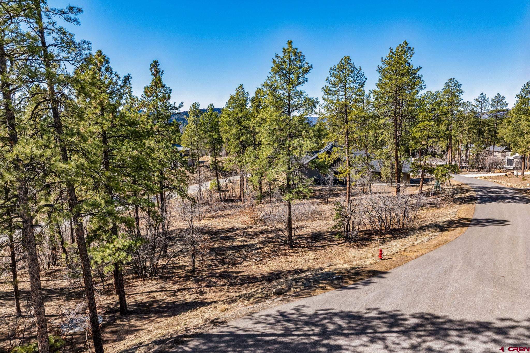 64 Incline Court Durango, CO 81301 - Photo 21 of 35 a backyard of a house with lots of trees