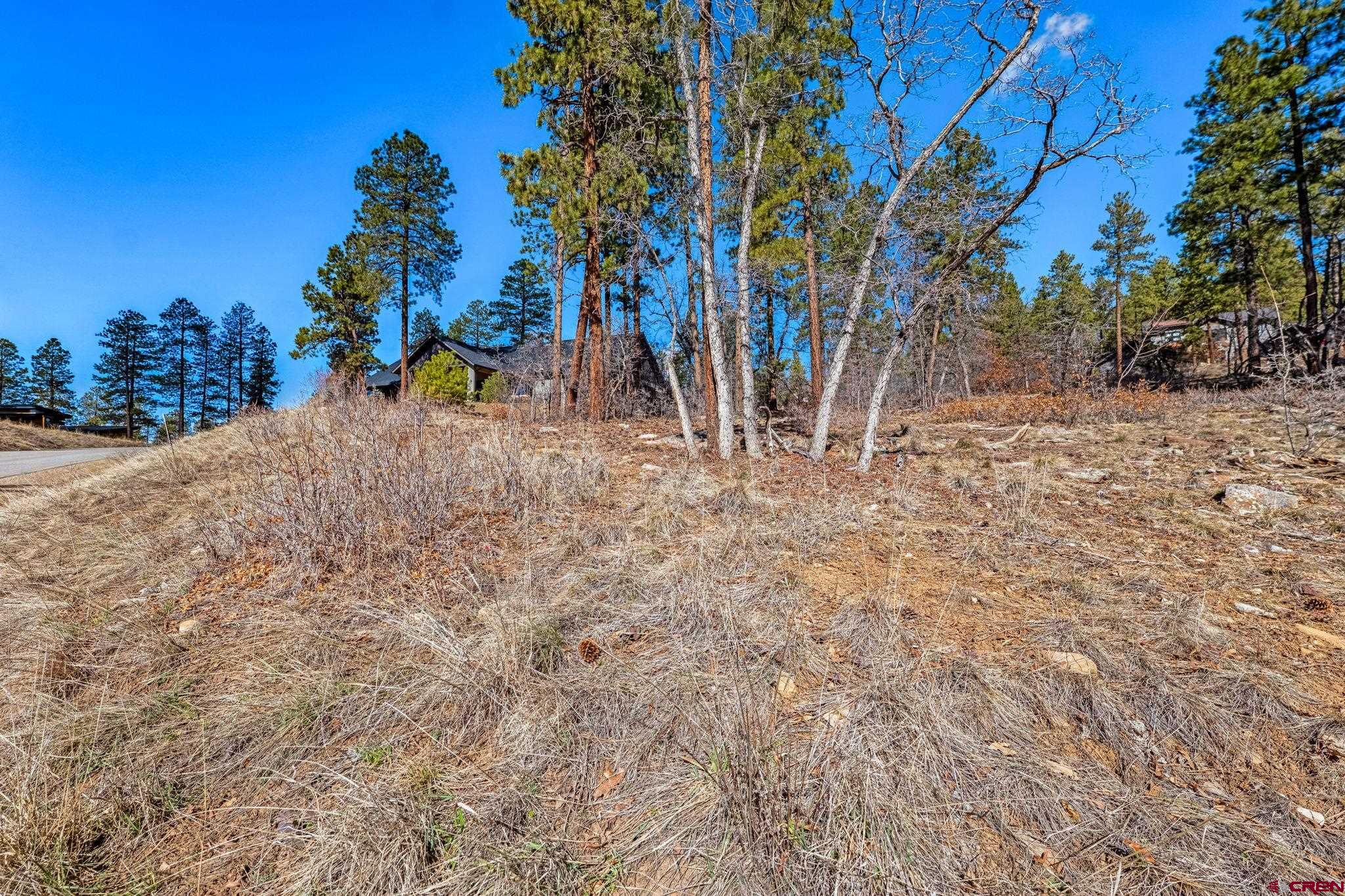 64 Incline Court Durango, CO 81301 - Photo 22 of 35 a view of a dry yard with trees