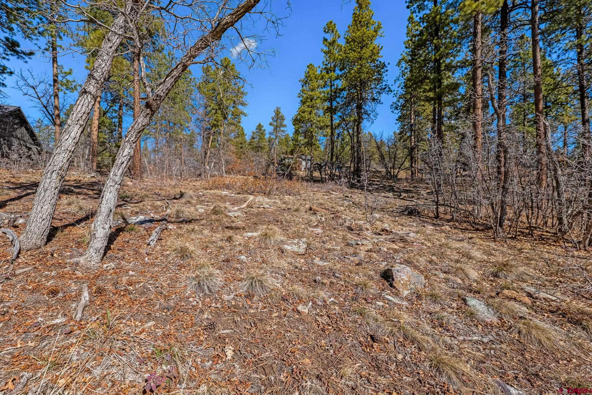 64 Incline Court Durango, CO 81301 - Photo 23 of 35 a view of a yard with trees