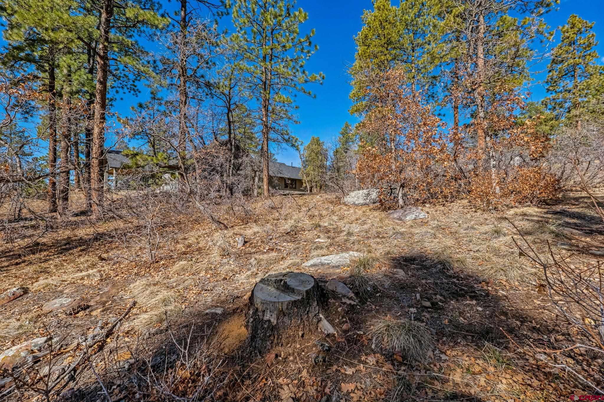 64 Incline Court Durango, CO 81301 - Photo 24 of 35 a view of a yard with plants and trees