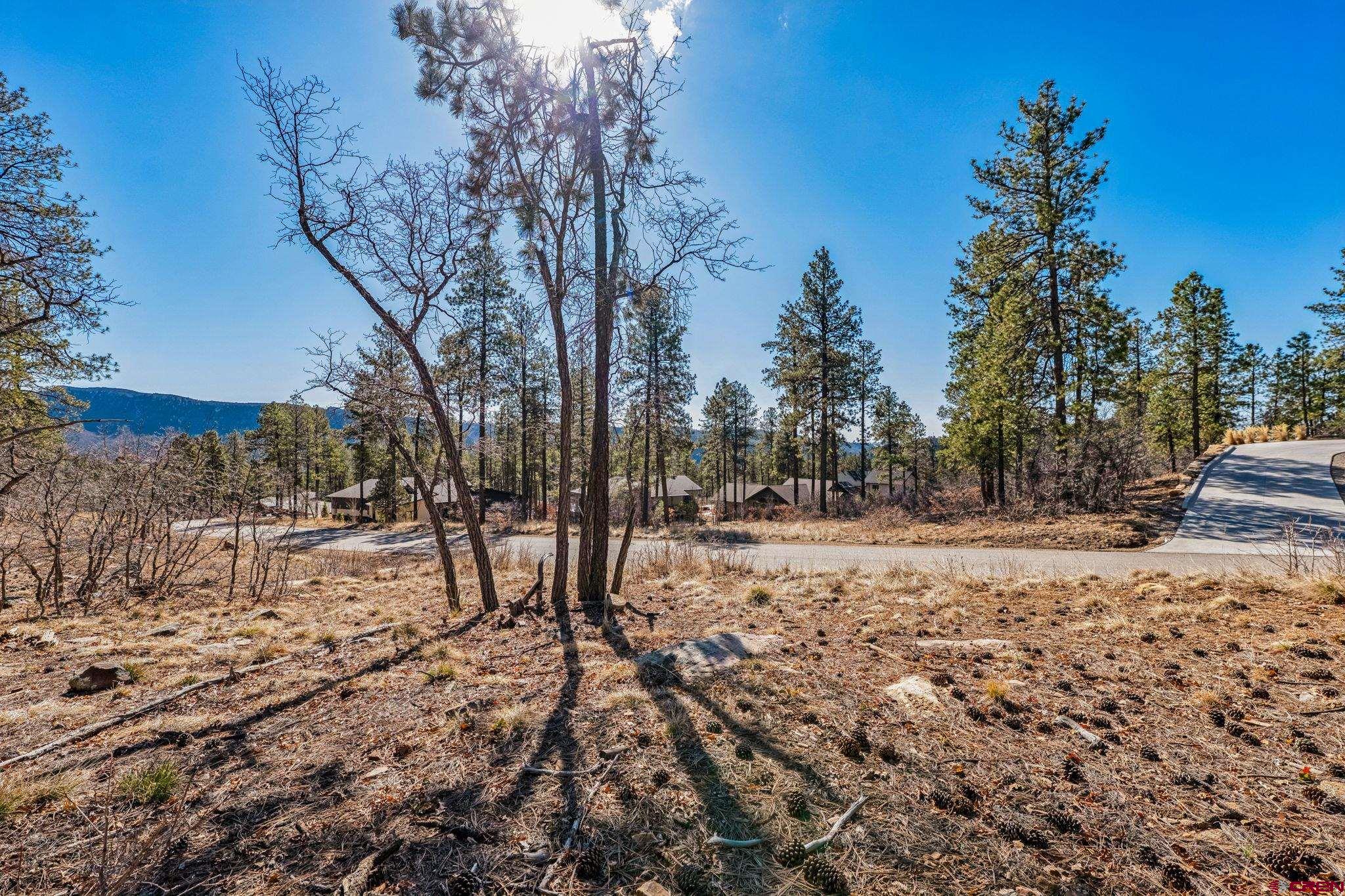 64 Incline Court Durango, CO 81301 - Photo 3 of 35
