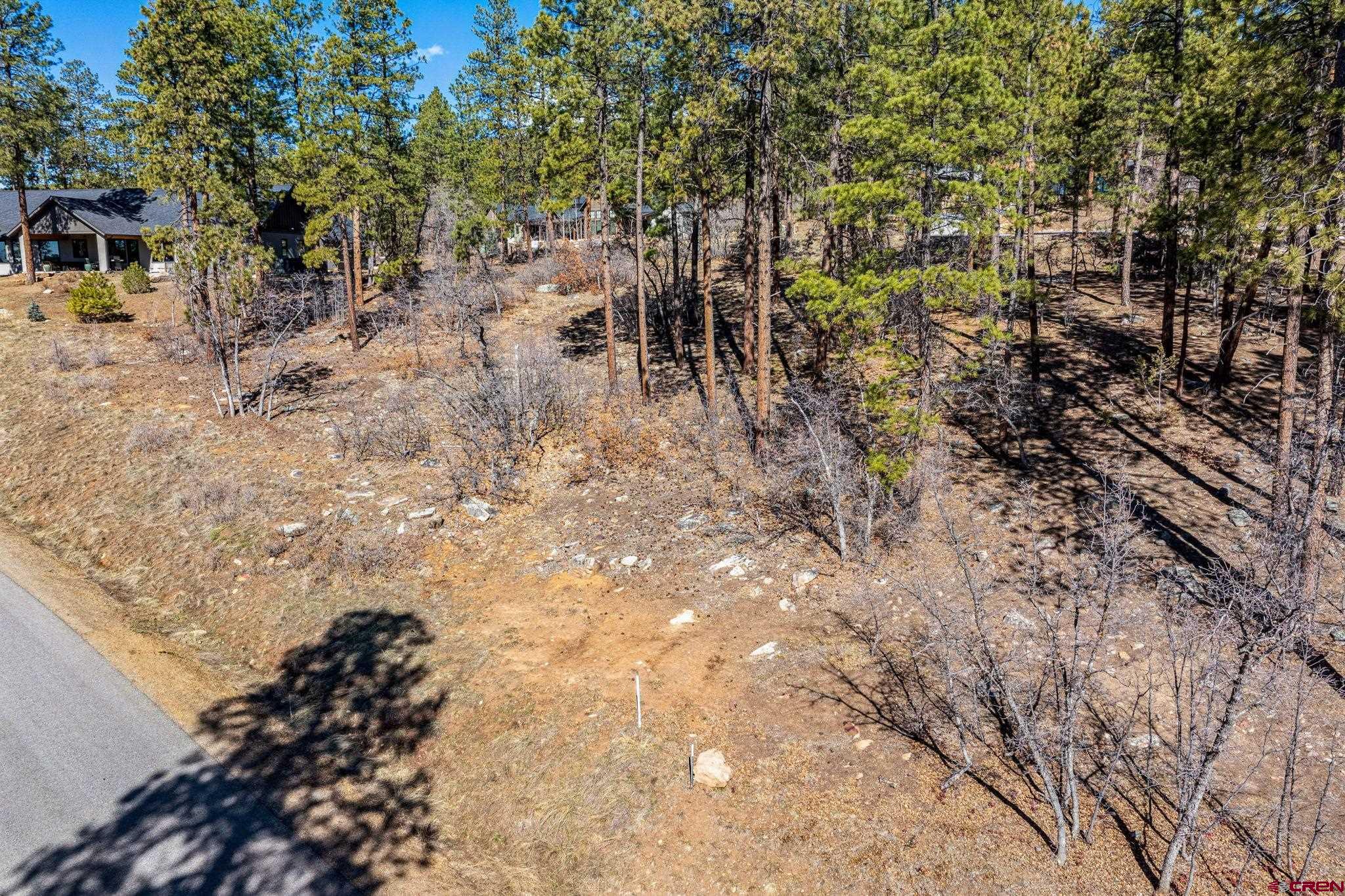 64 Incline Court Durango, CO 81301 - Photo 31 of 35 a view of a yard with plants and large trees