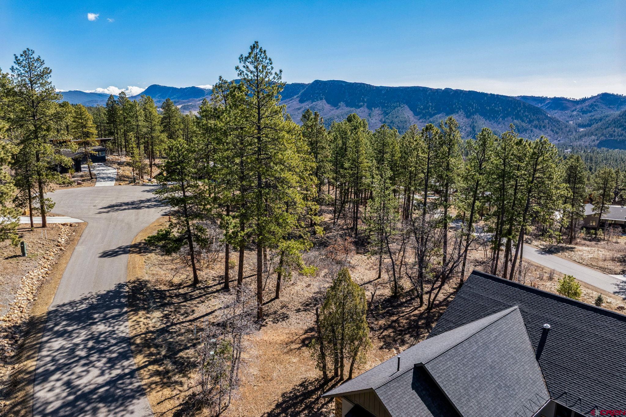64 Incline Court Durango, CO 81301 - Photo 4 of 35 a view of a city with mountain view