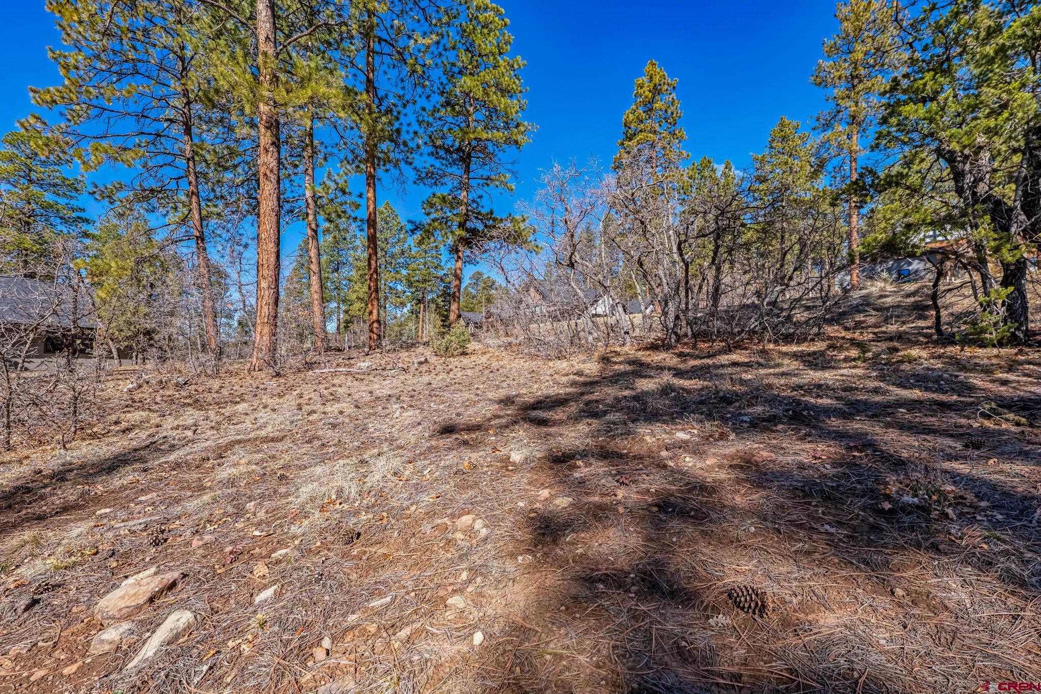 64 Incline Court Durango, CO 81301 - Photo 6 of 35