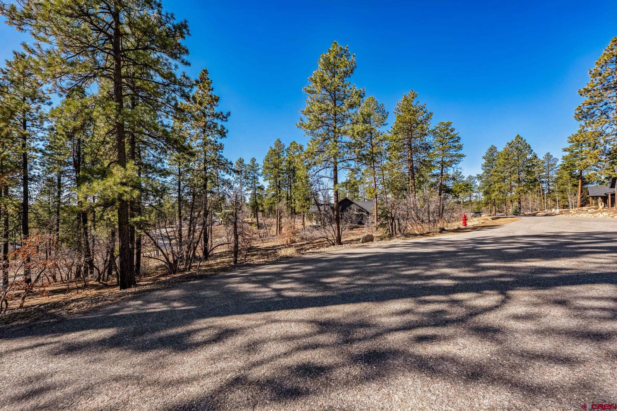 64 Incline Court Durango, CO 81301 - Photo 10 of 35