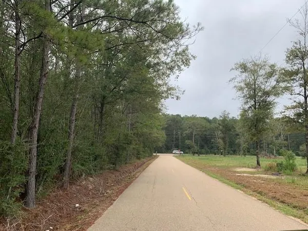 $251,600 | 445 Highway 445 Highway, Robert, LA 70455