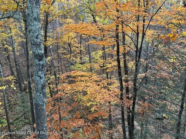 $1,600 | 25 Ulla Terrace, Acra, NY 12405