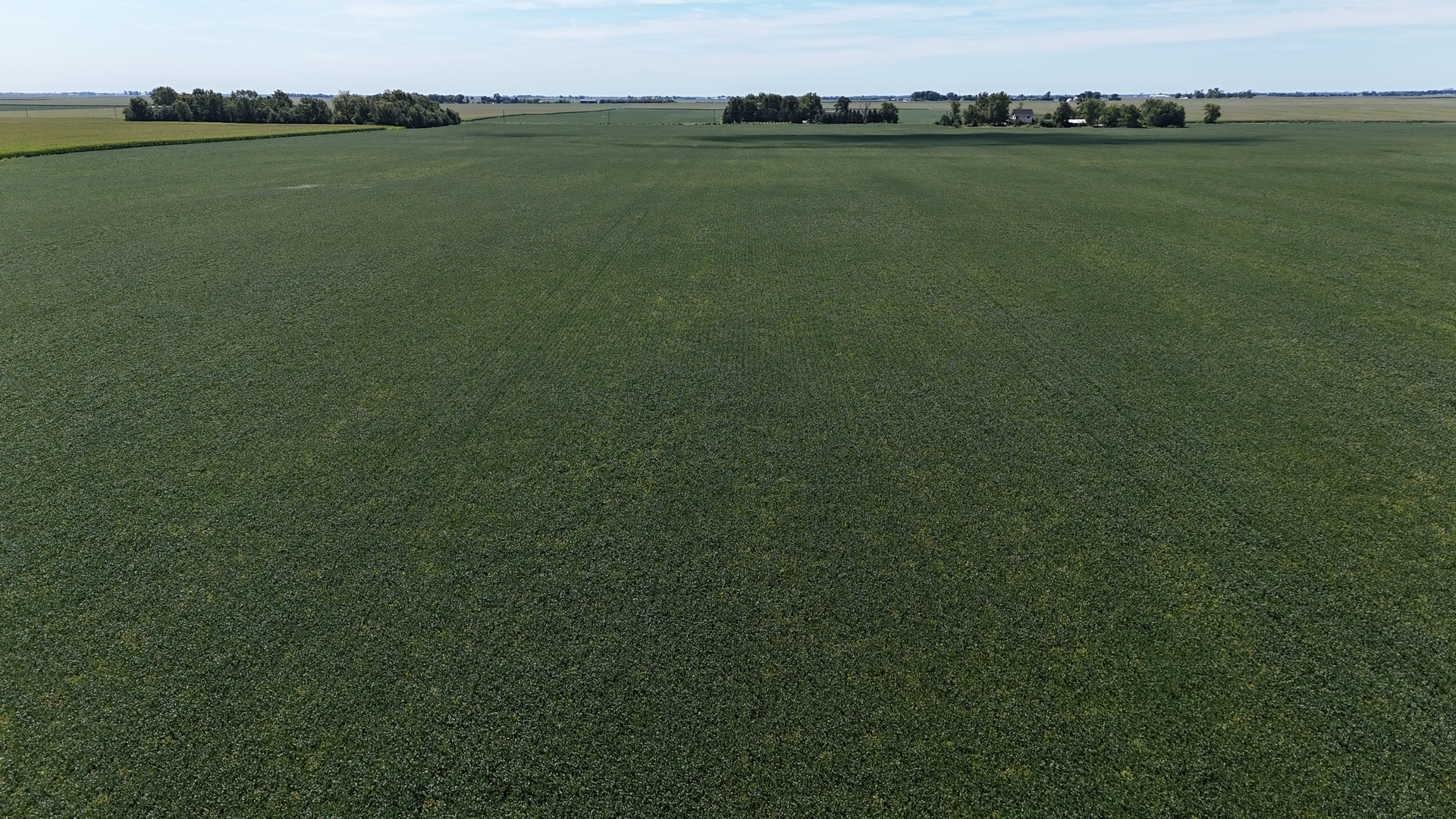 5675 East 1000 N Road Manteno, IL 60950 - Photo 4 of 7 a view of a field with an ocean