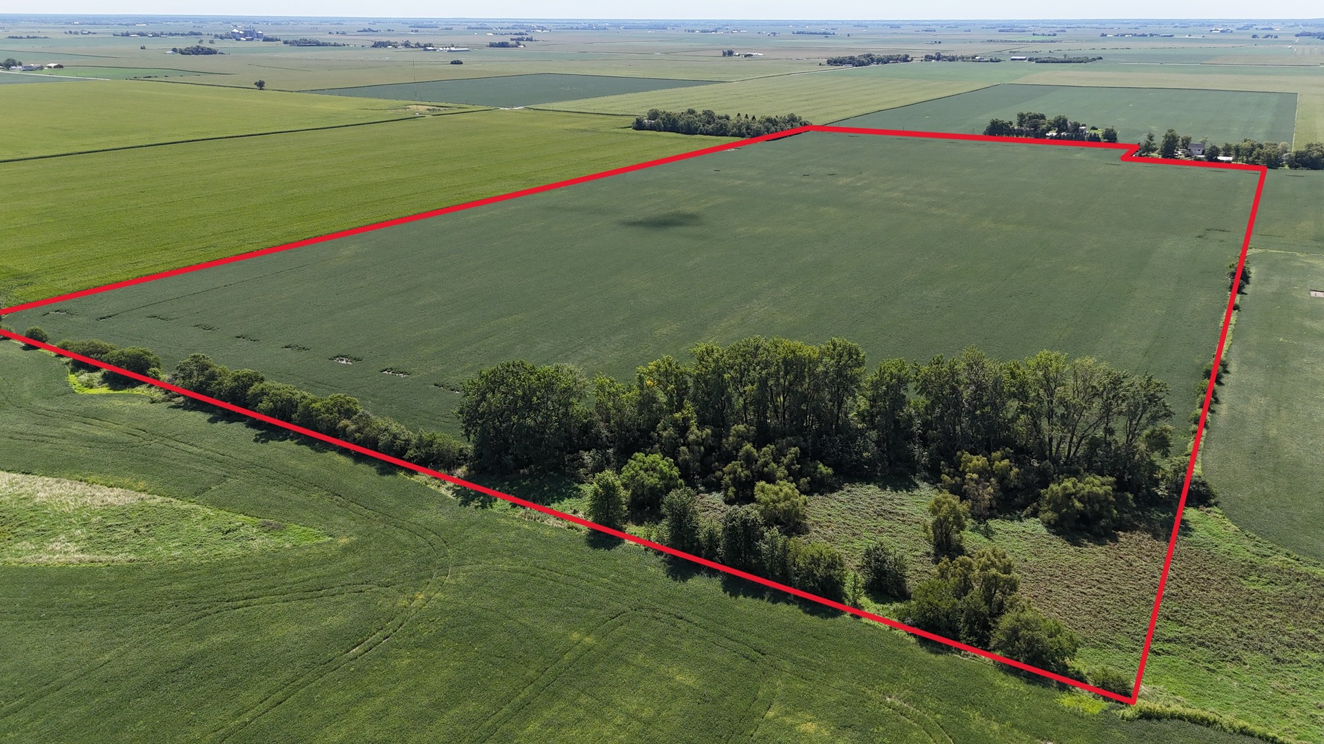 5675 East 1000 N Road Manteno, IL 60950 - Photo 7 of 7 a view of an outdoor space and a yard