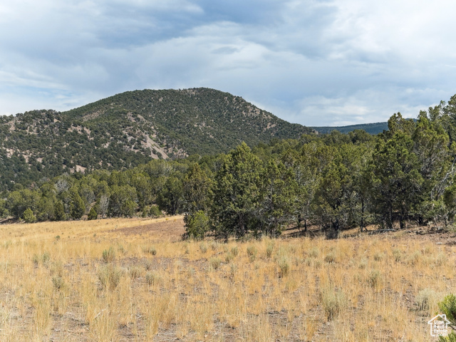 Undisclosed Address Beaver, UT 84713 - Photo 12 of 12