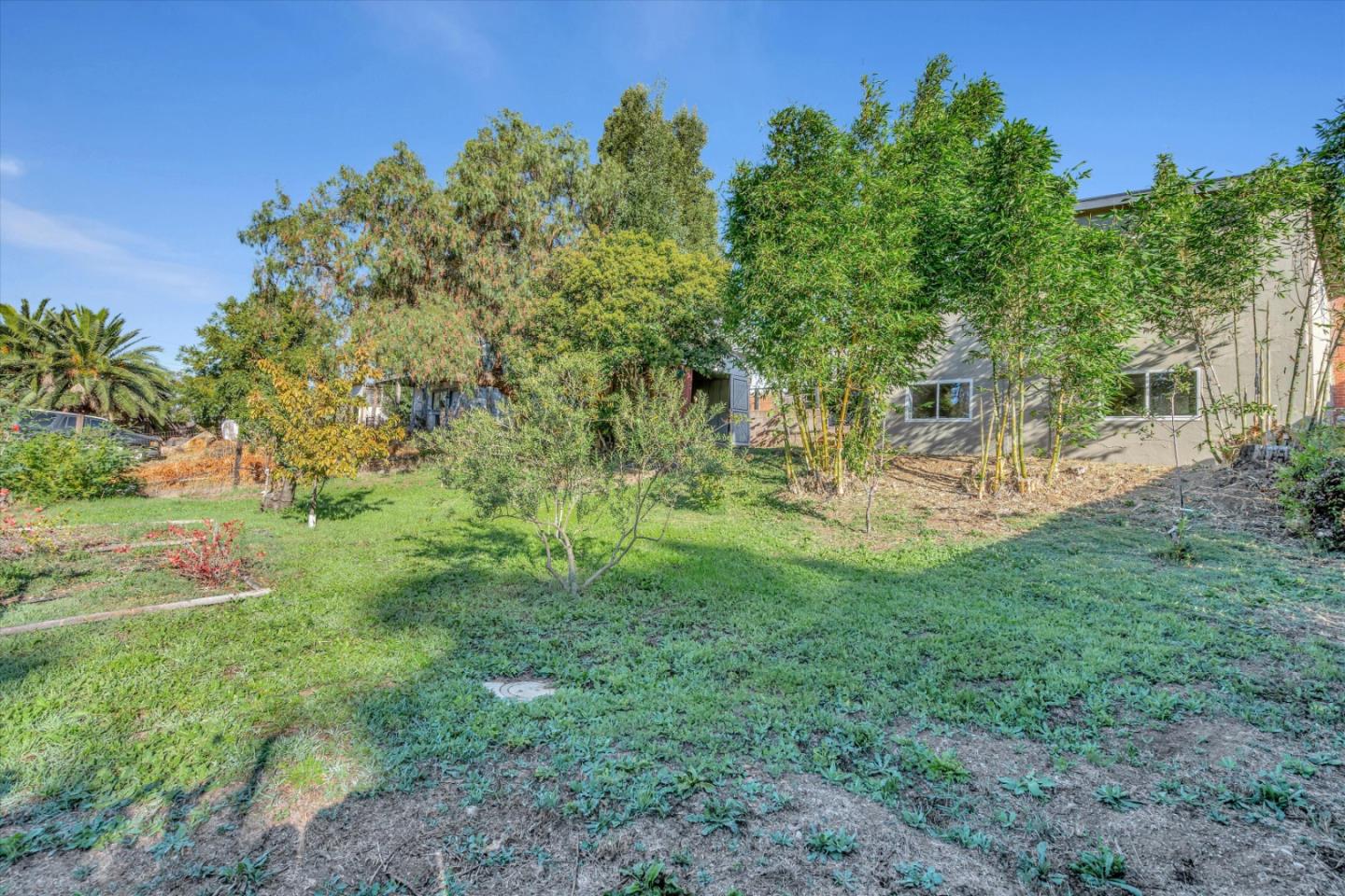 1041 Hargus Avenue Vallejo, CA 94591 - Photo 34 of 35 a view of yard with green space
