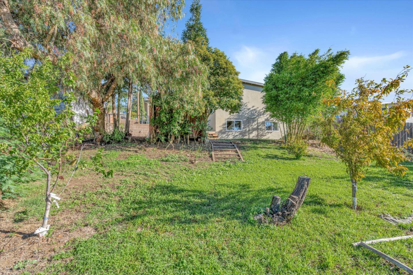 1041 Hargus Avenue Vallejo, CA 94591 - Photo 35 of 35 a view of backyard with a garden and trees