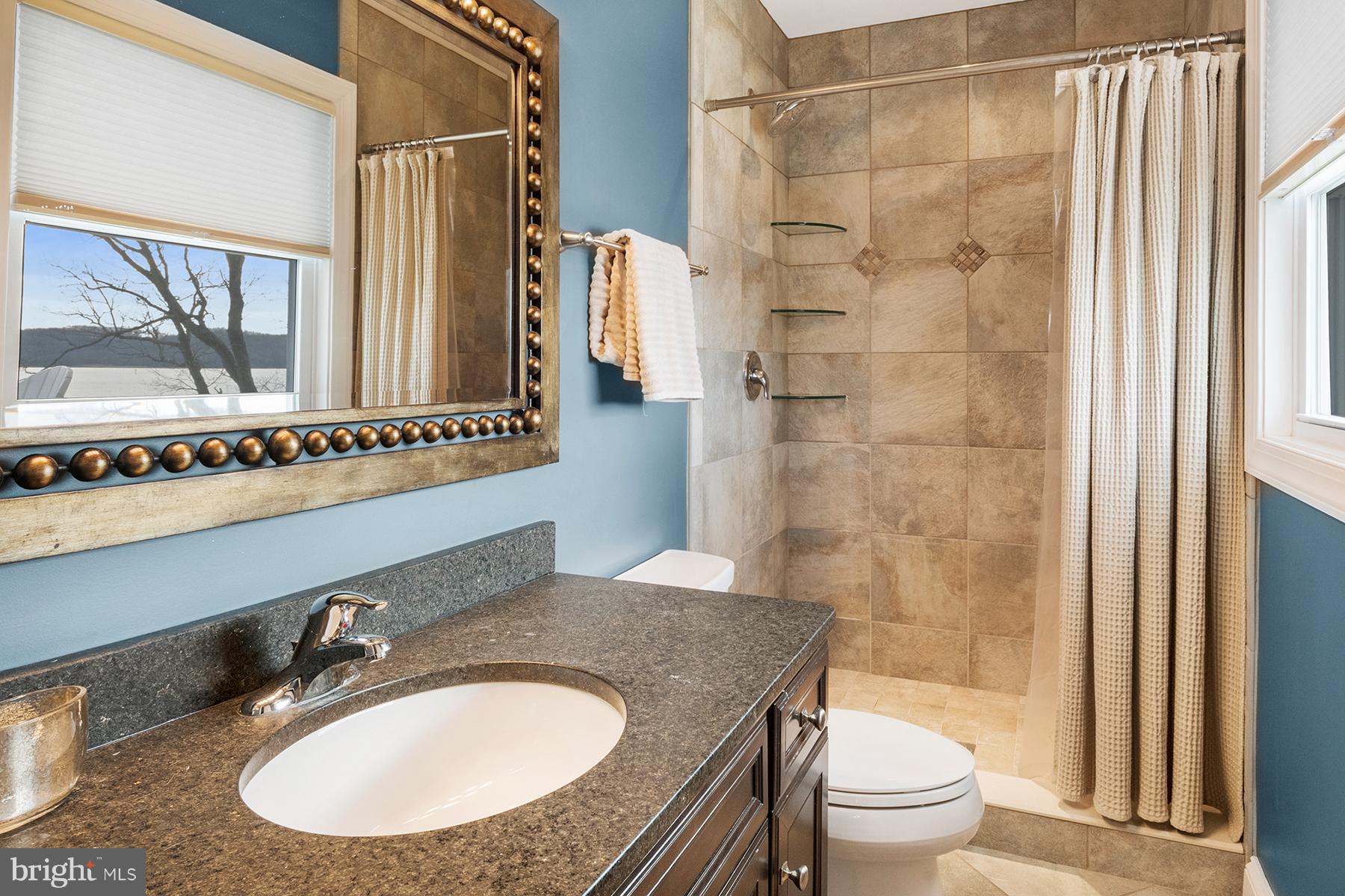 265 Long Point Road Crownsville, MD 21032 - Photo 16 of 37 Beautiful tile shower and granite vanity