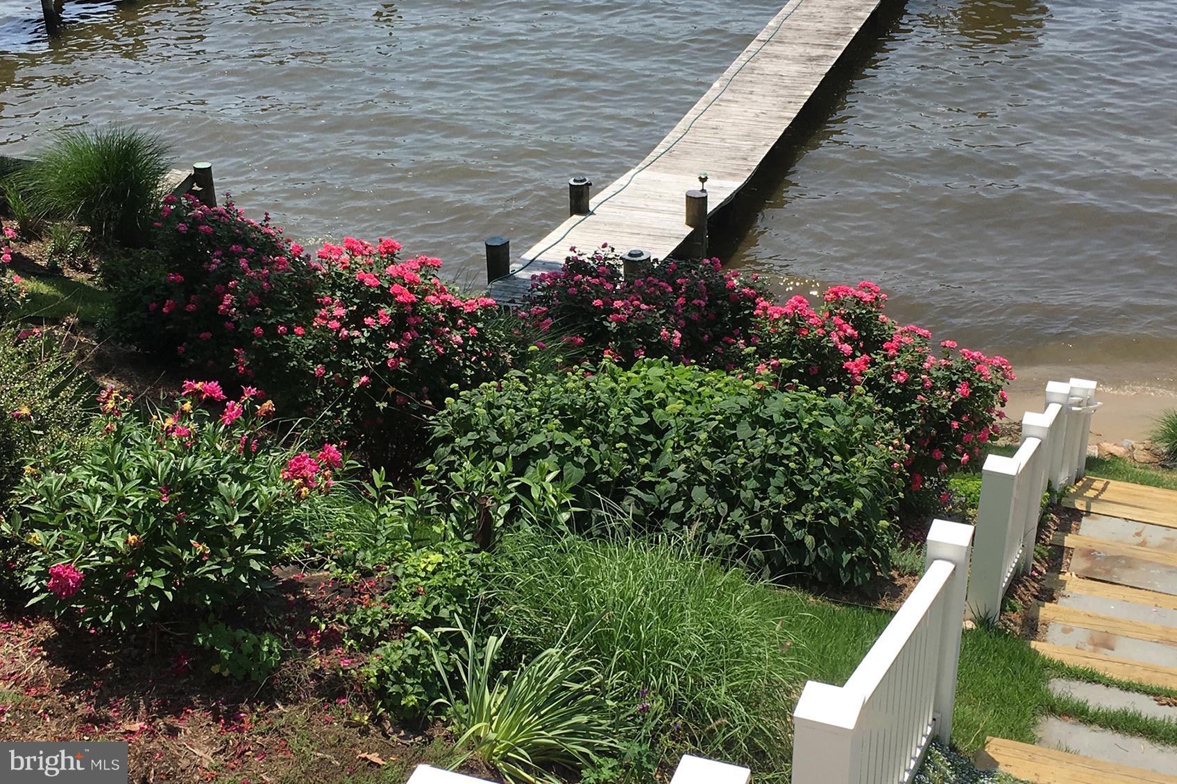 265 Long Point Road Crownsville, MD 21032 - Photo 28 of 37 The landscaping by the steps in full bloom