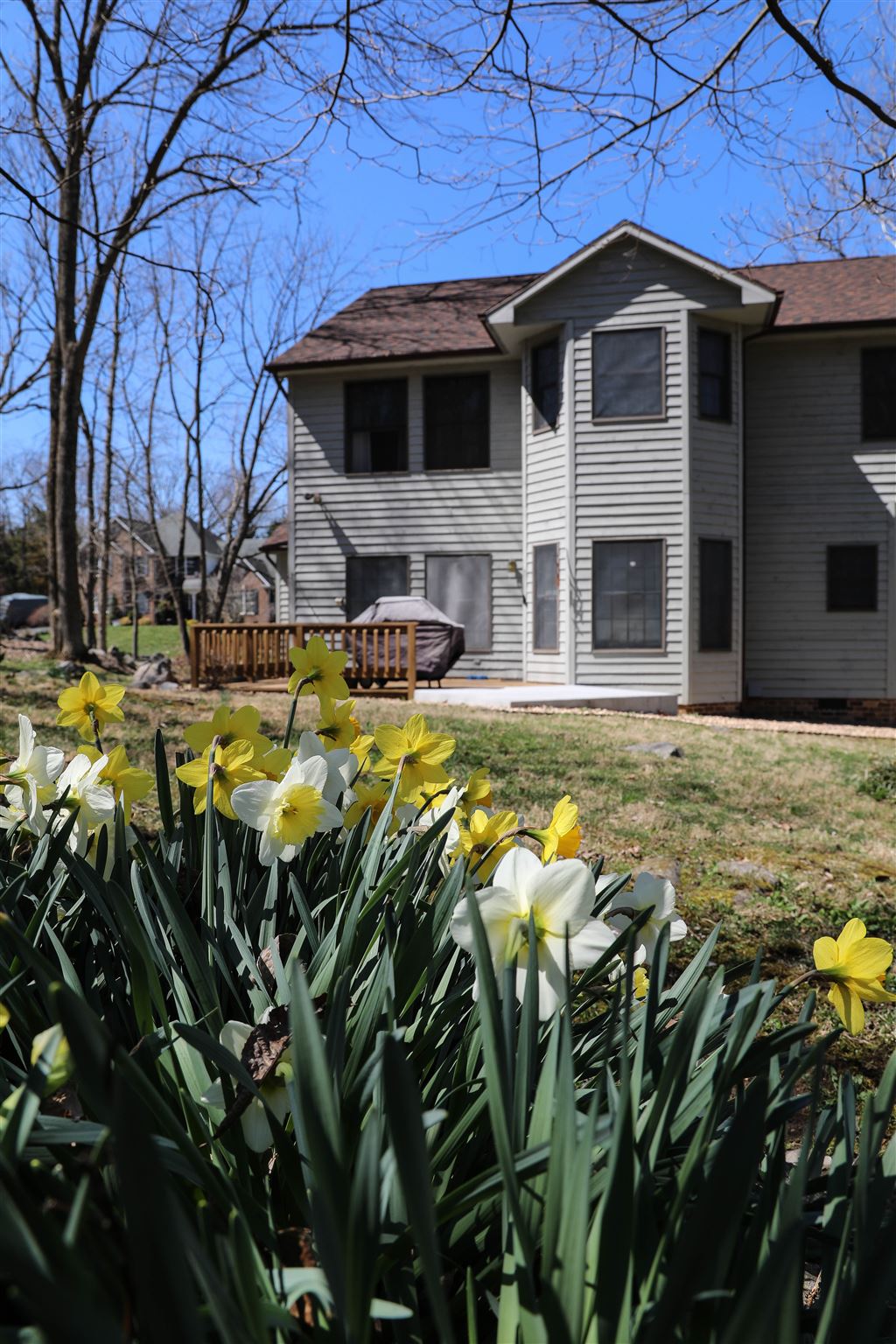930 Turkey Run Road Harrisonburg, VA 22801 - Photo 34 of 36 Gallery Image 34