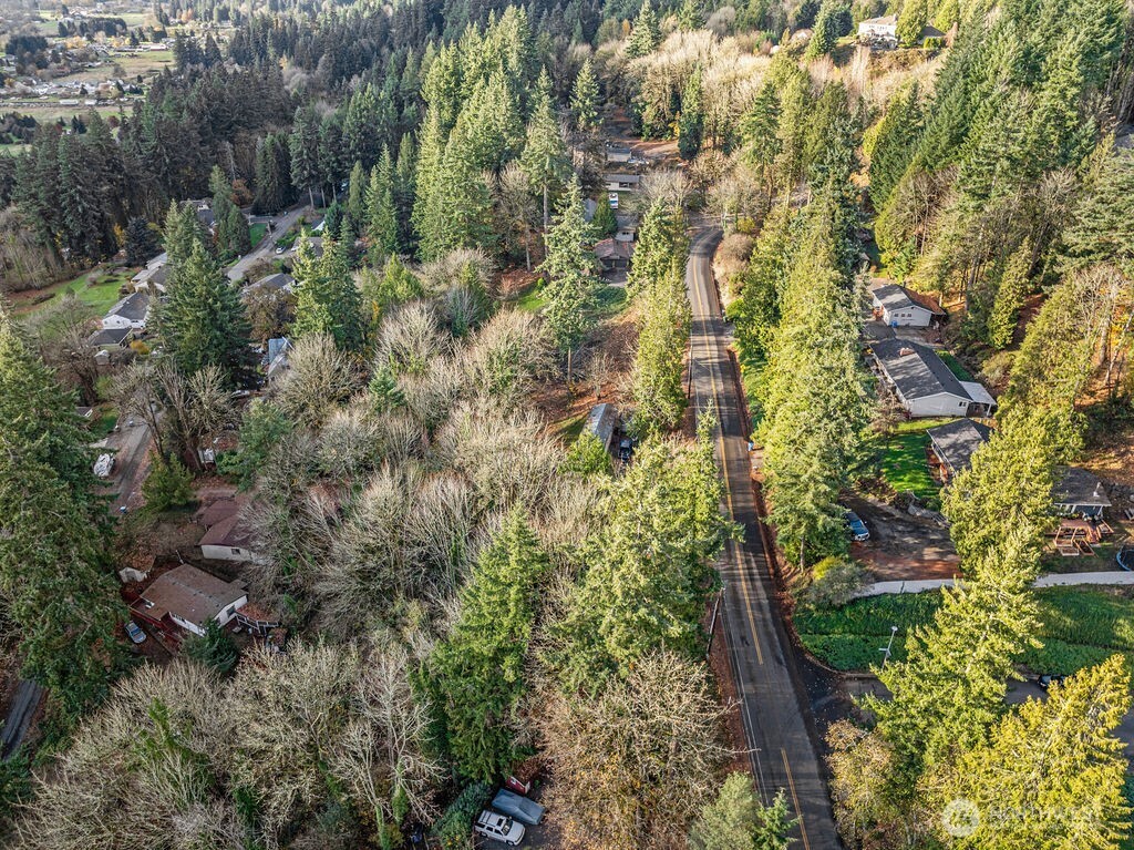 4043 Sunset Way Longview, WA 98632 - Photo 11 of 12 a view of a tree