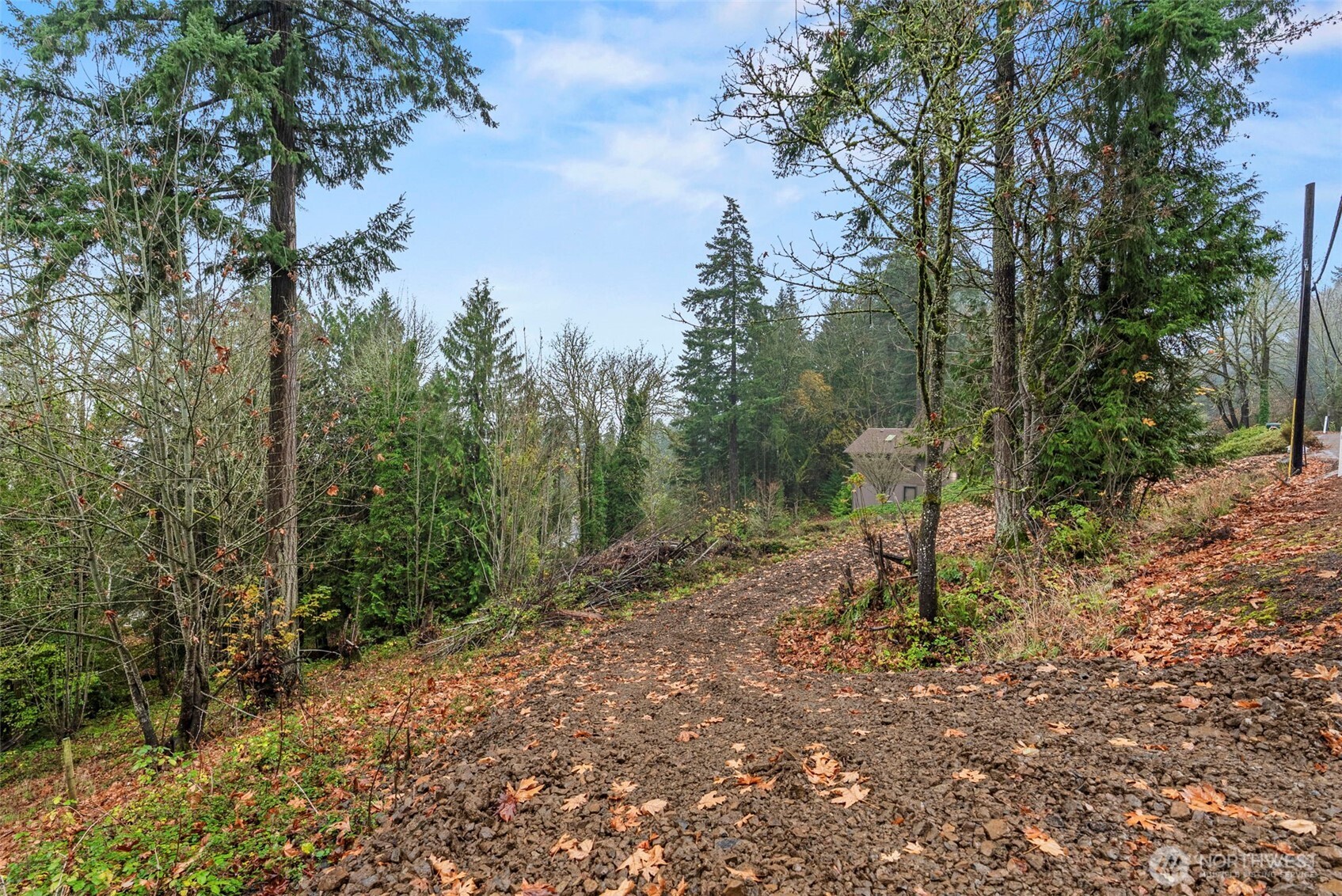 4043 Sunset Way Longview, WA 98632 - Photo 2 of 12 a backyard of a house with lots of green space