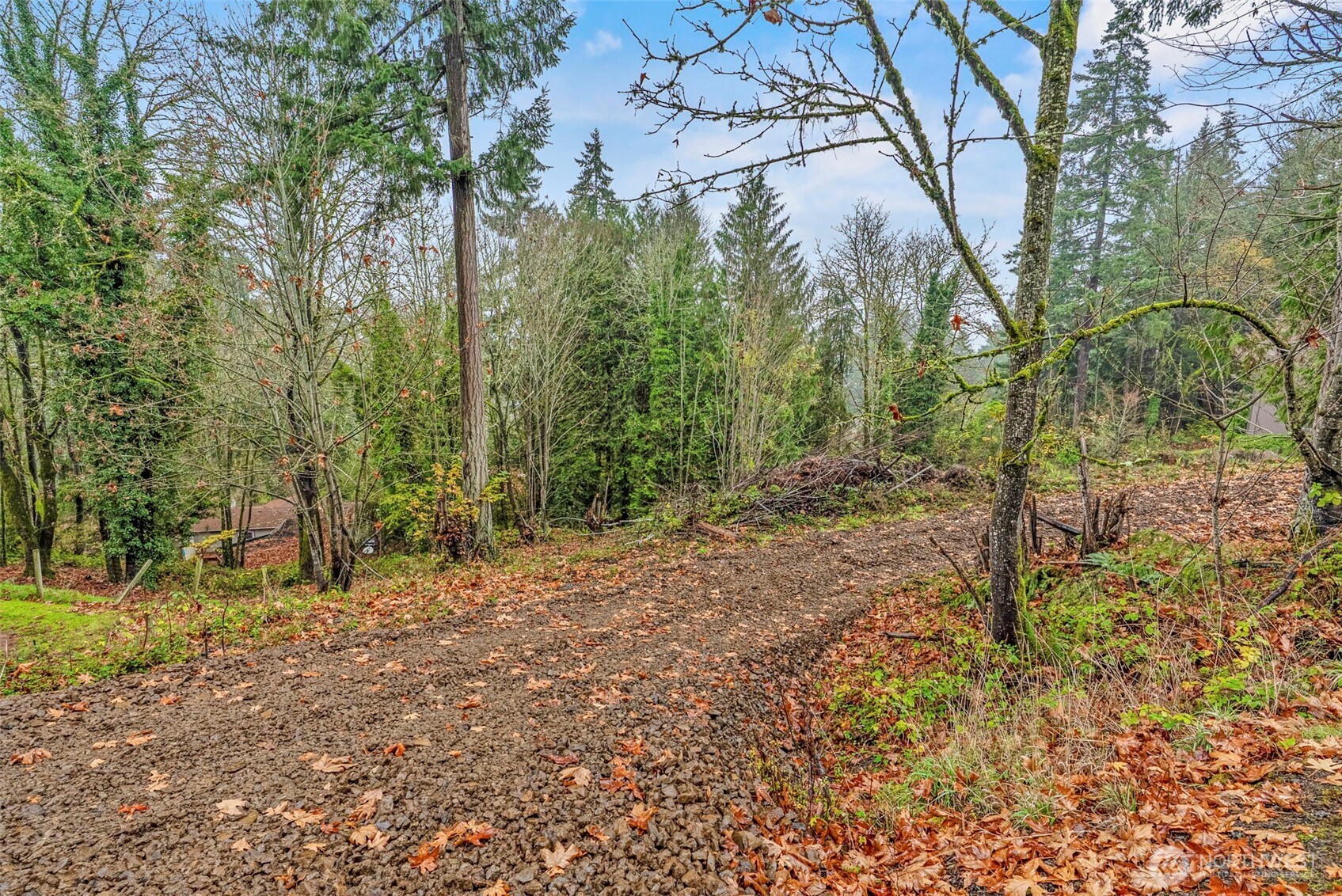 4043 Sunset Way Longview, WA 98632 - Photo 3 of 12 a backyard of a house with lots of green space