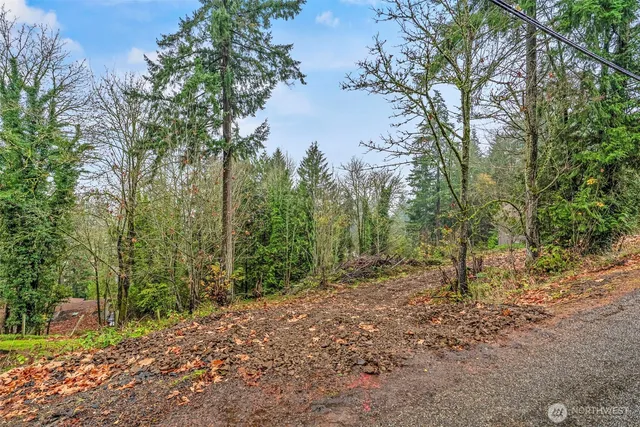 a big yard with lots of green space and house in the back
