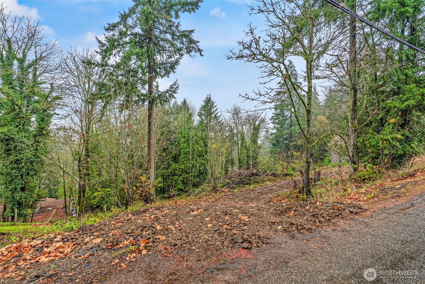 4043 Sunset Way Longview, WA 98632 - Photo 4 of 12 a big yard with lots of green space and house in the back
