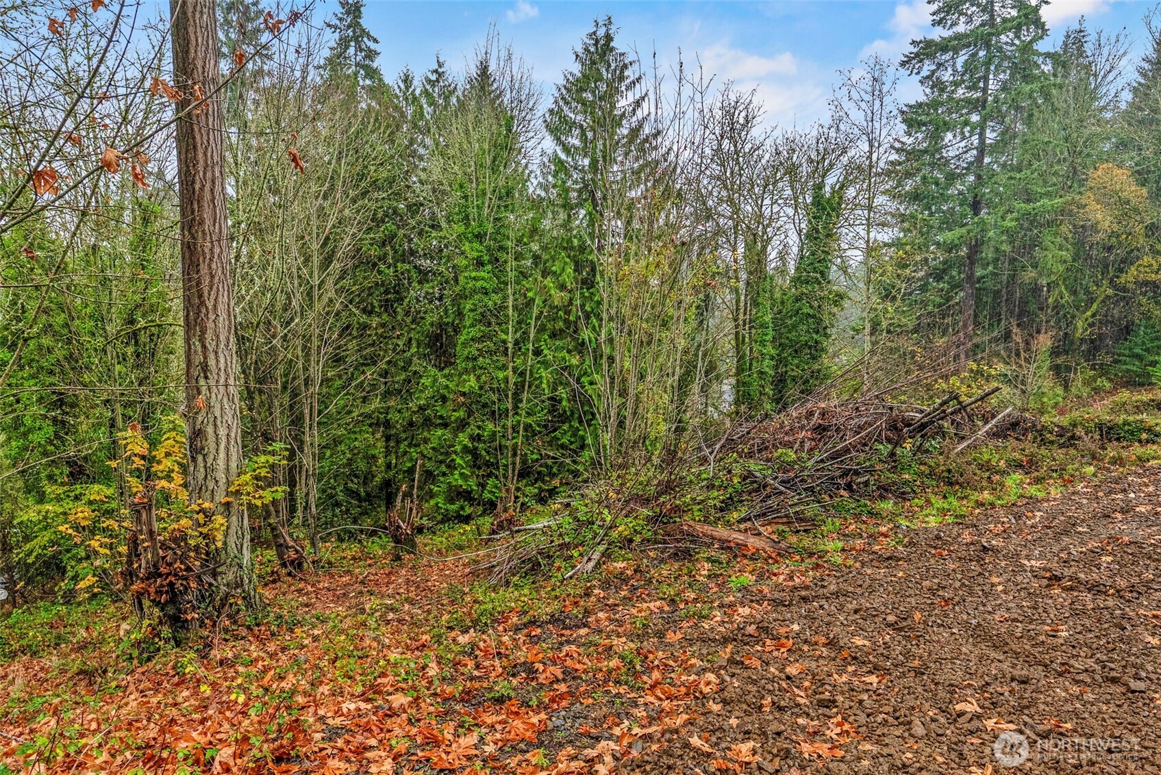 4043 Sunset Way Longview, WA 98632 - Photo 5 of 12 a view of a garden