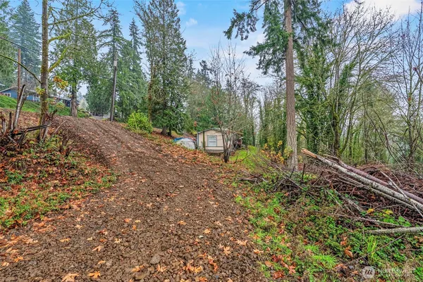 a view of a backyard with large trees