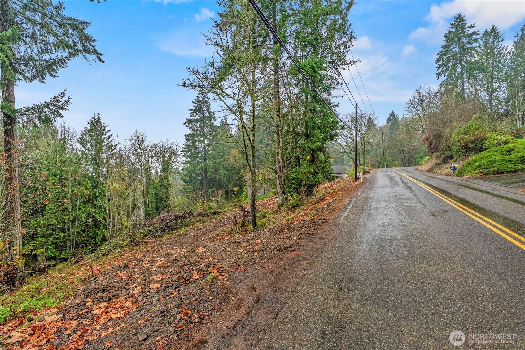 4043 Sunset Way Longview, WA 98632 - Photo 8 of 12 a view of a road with trees in the background