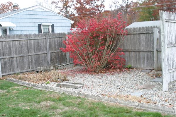 118 Louis Road Springfield, MA 01118 - Photo 3 of 10 Gallery Image 3