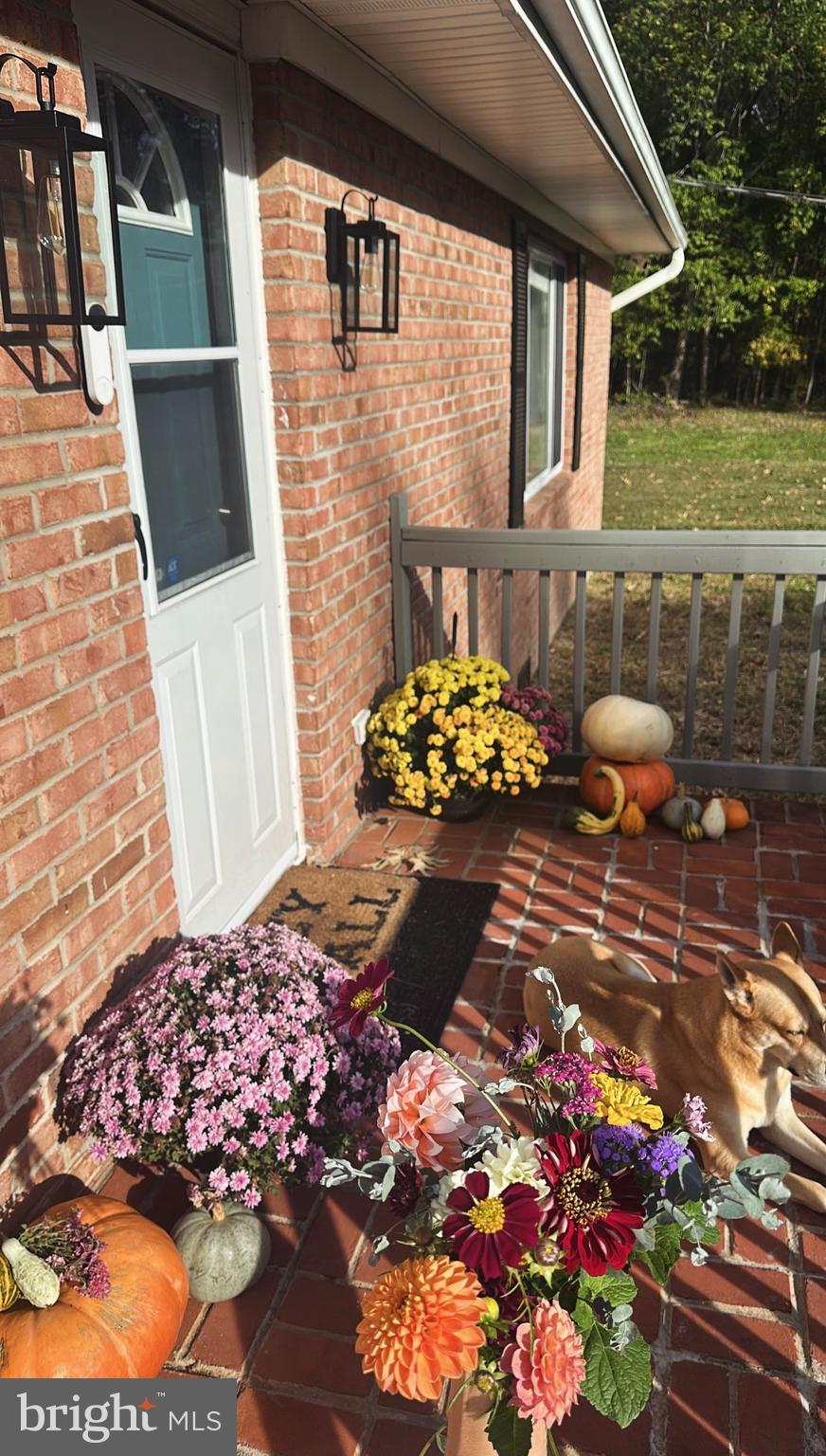 1418 Shadyrest Road Shady Side, MD 20764 - Photo 2 of 11