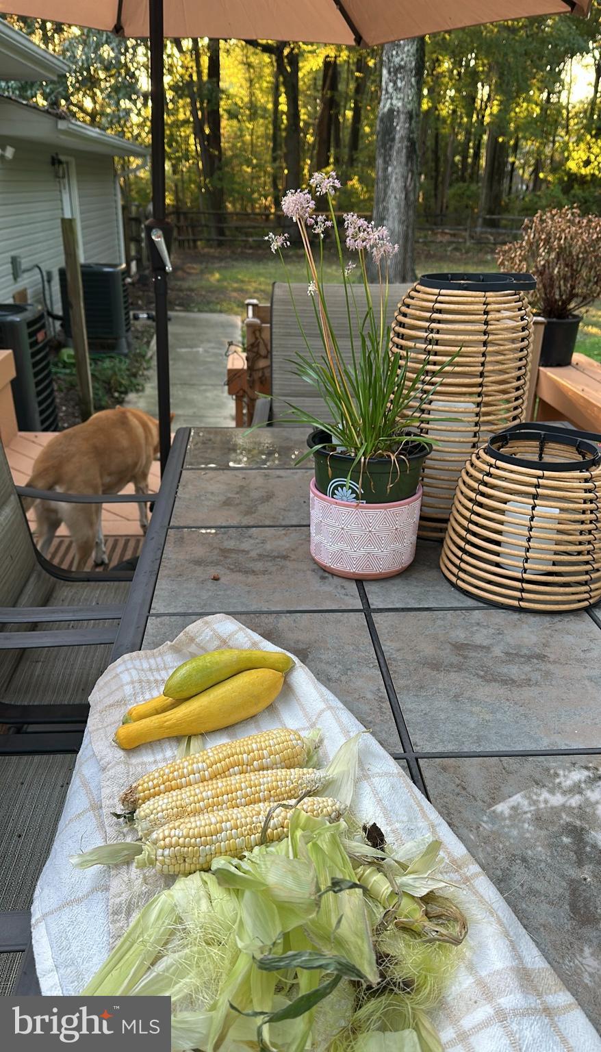 1418 Shadyrest Road Shady Side, MD 20764 - Photo 5 of 11