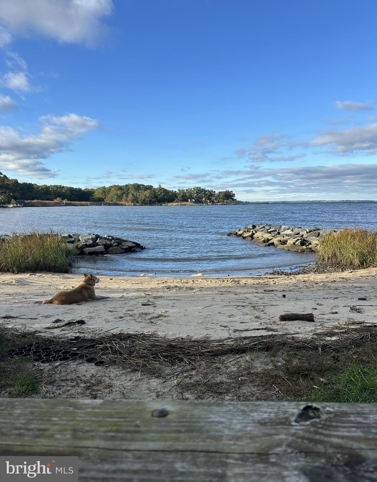 1418 Shadyrest Road Shady Side, MD 20764 - Photo 6 of 11