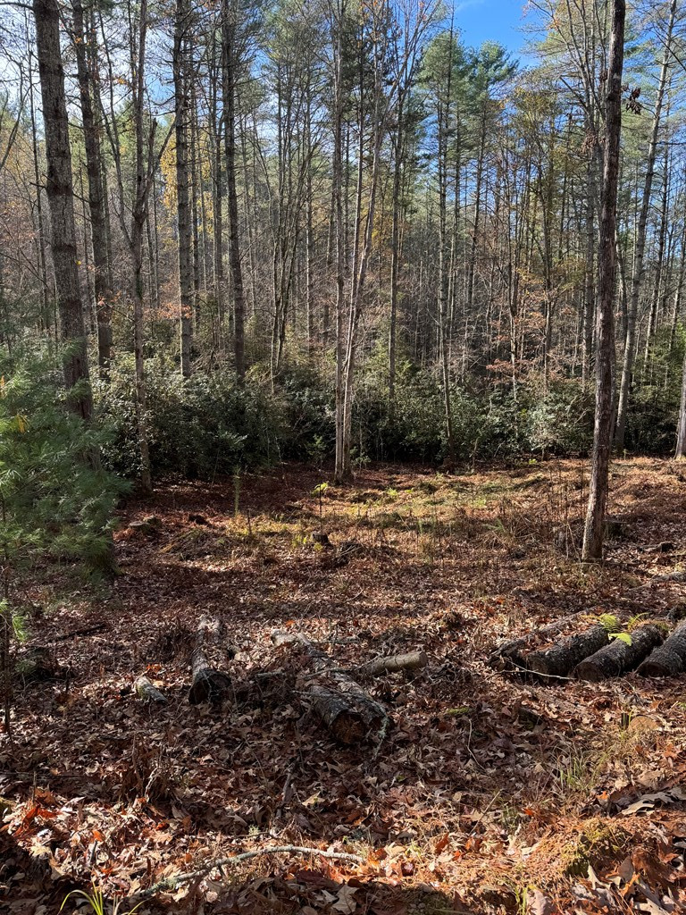 0 Rockridge Road Murphy, NC 28906 - Photo 5 of 9