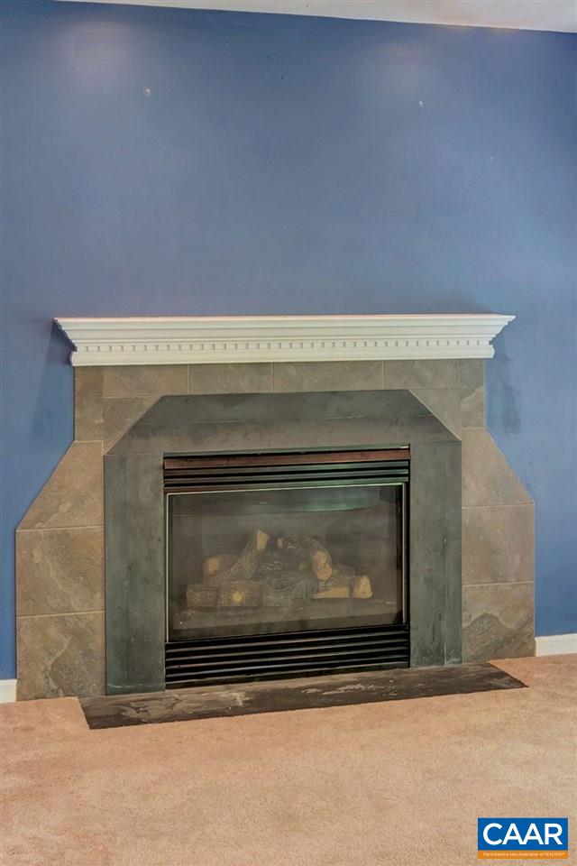 12 River Ridge Drive Palmyra, VA 22963 - Photo 8 of 42 Gallery Image 8