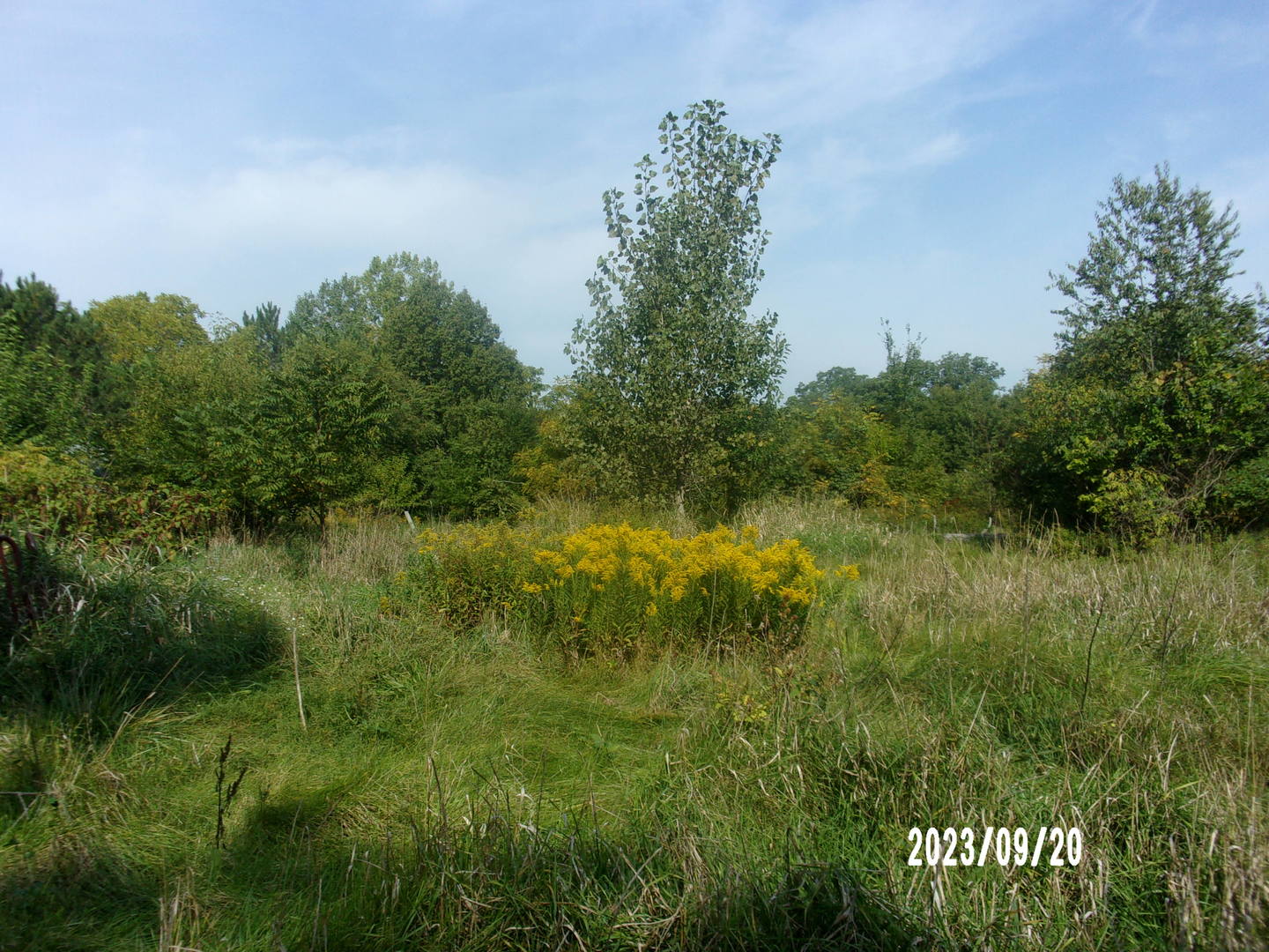 2788 East Twp 121 Road Sheldon, IL 60966 - Photo 8 of 12 a view of a garden