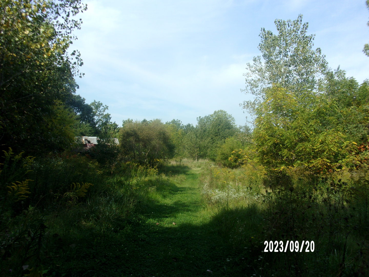 2788 East Twp 121 Road Sheldon, IL 60966 - Photo 10 of 12 a view of a field of grass and trees