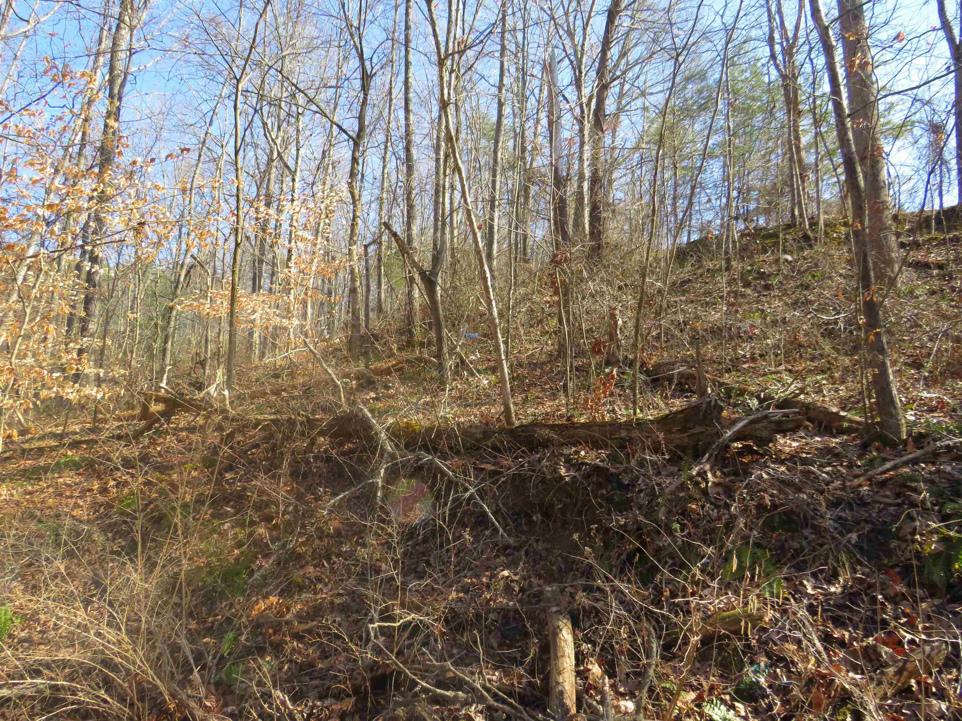 63 Frazier Road Olive Hill, KY 41164 - Photo 4 of 9