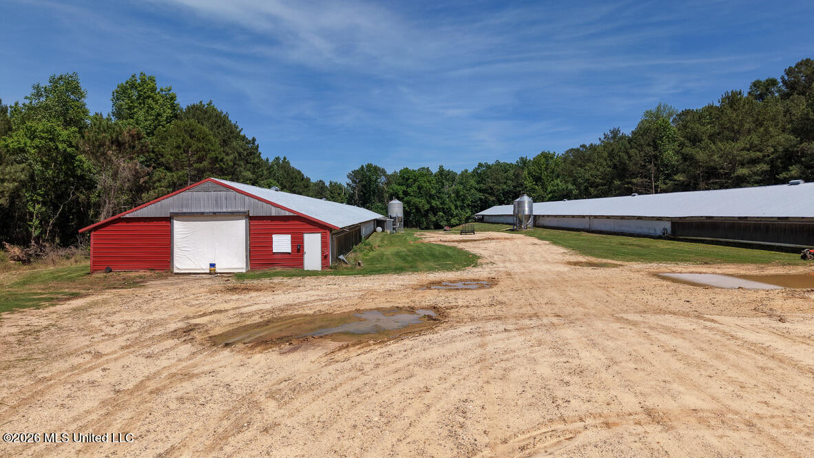 Smithtown Chicora Road State Line, MS 39362 - Photo 8 of 38 659DD6B0-683B-4676-95FD-A9C8AE68BB67_1_1