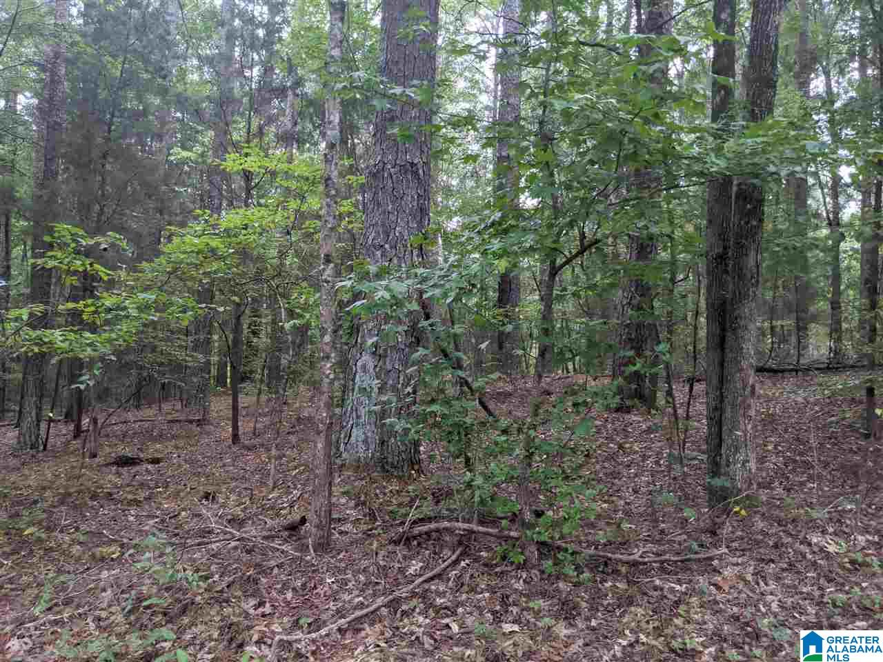 0 Smith Avenue, Unit 3 2 Anniston, AL 36207 - Photo 43 of 43