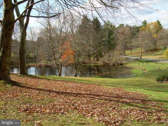 View of your own 2 acres including a well stocked.