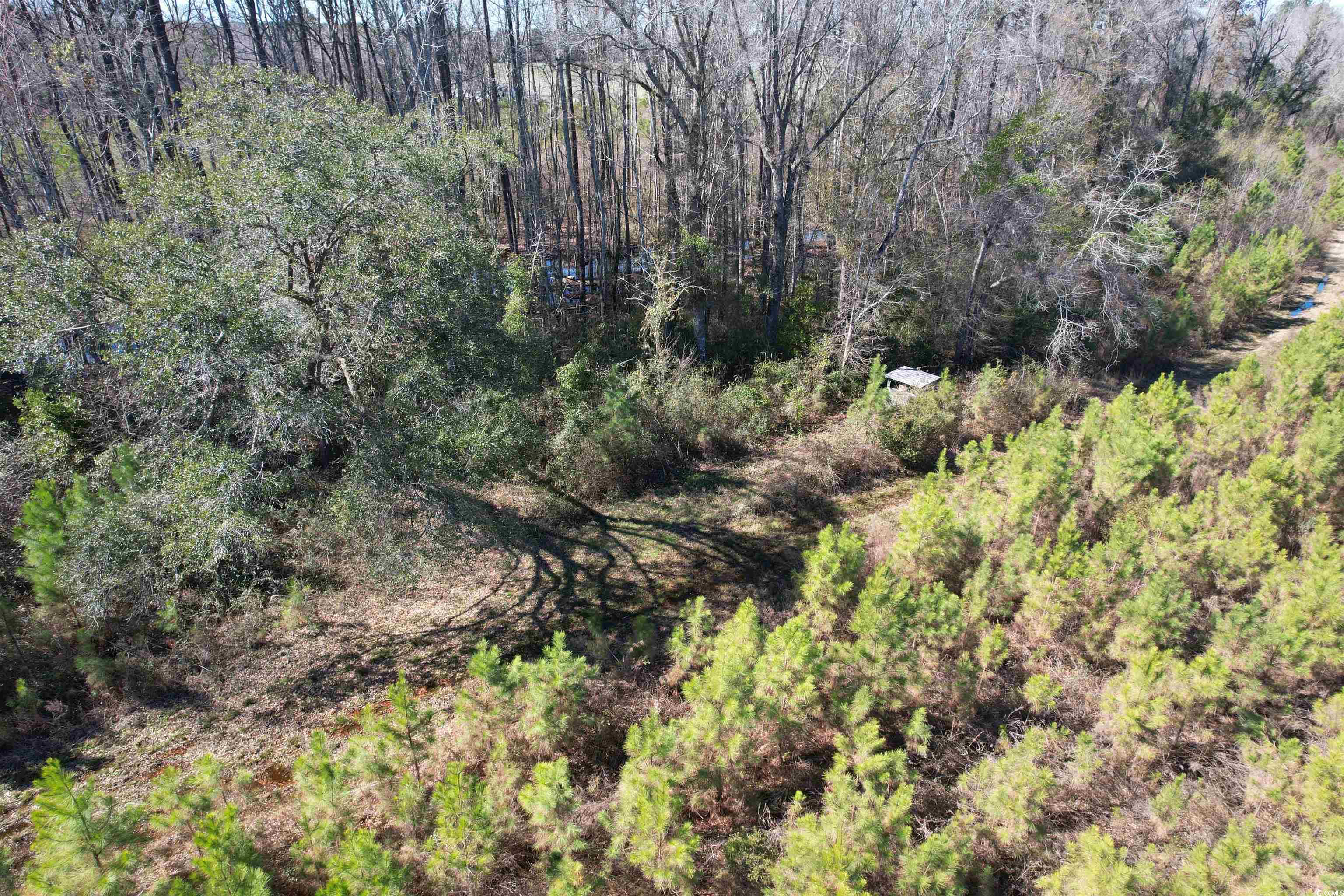 Tbd Holliman Road Greeleyville, SC 29056 - Photo 3 of 9 Gallery Image 3