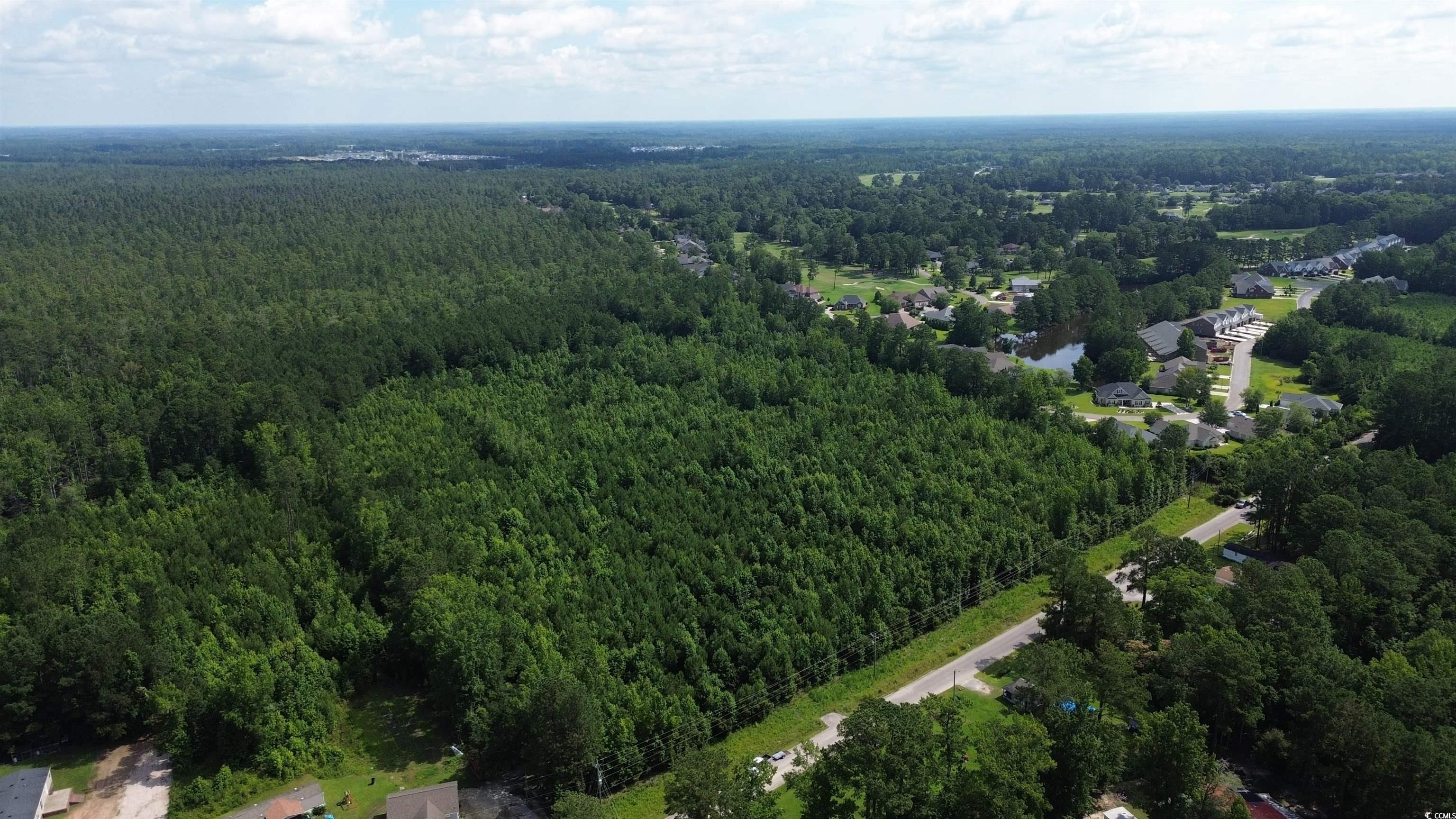 Tbd Elbow Road Longs, SC 29568 - Photo 10 of 14 View of property location featuring a forest
