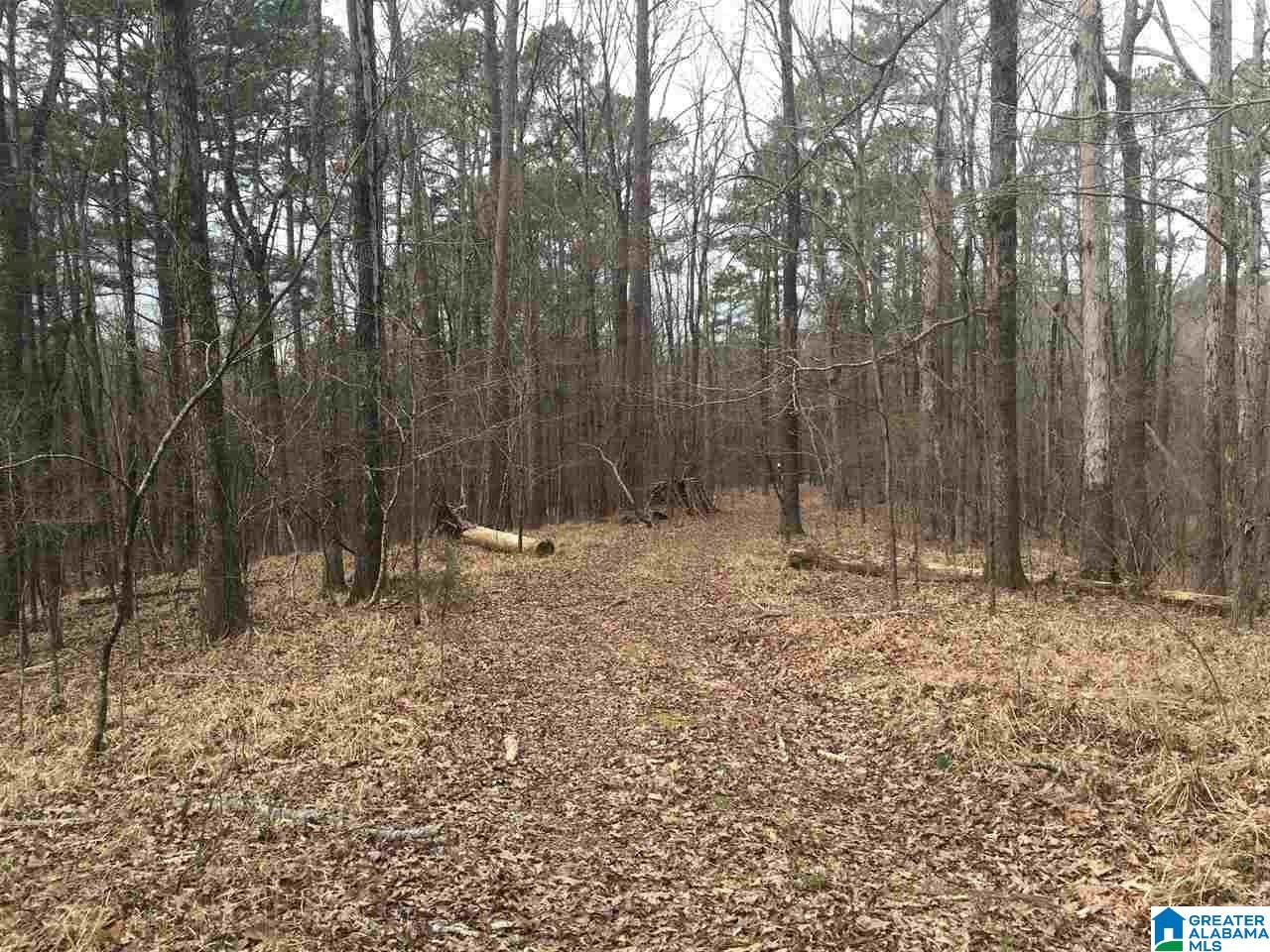 7465 Rodgers Road Southwest Leeds, AL 35094 - Photo 16 of 25