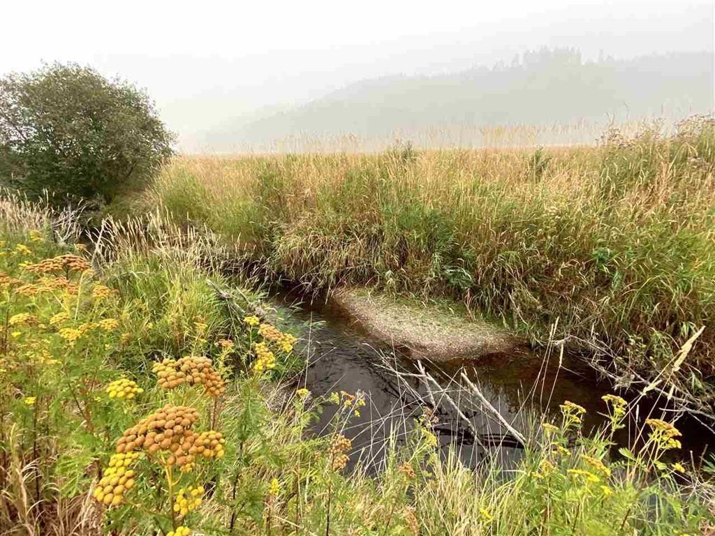 4681 Springdale Hunters Road Springdale, WA 99173 - Photo 2 of 8